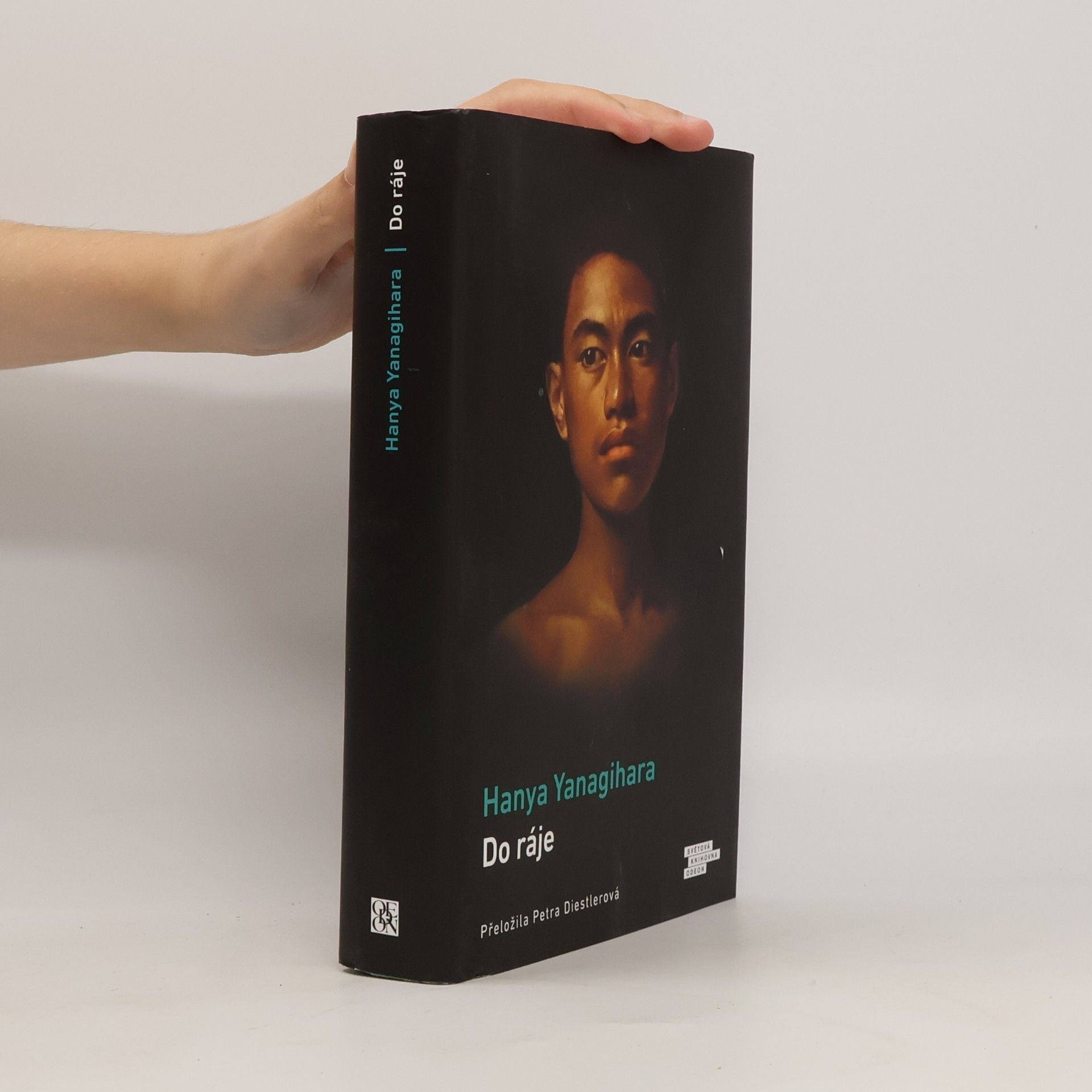 Hanya Yanagihara Do ráje