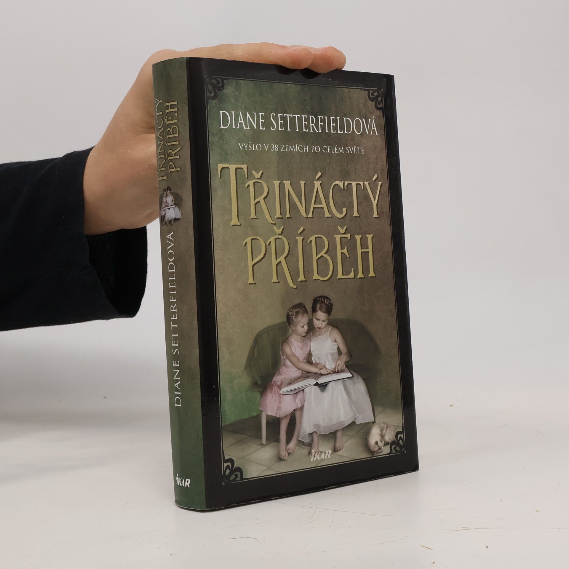 Diane Setterfield Třináctý příběh