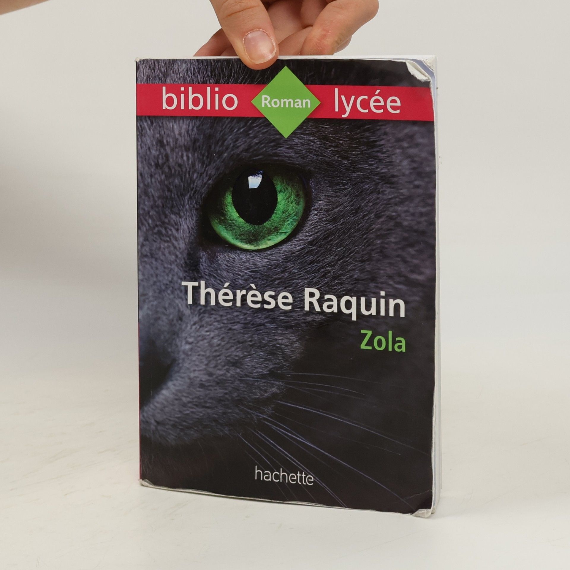 Émile Zola Thérèse Raquin
