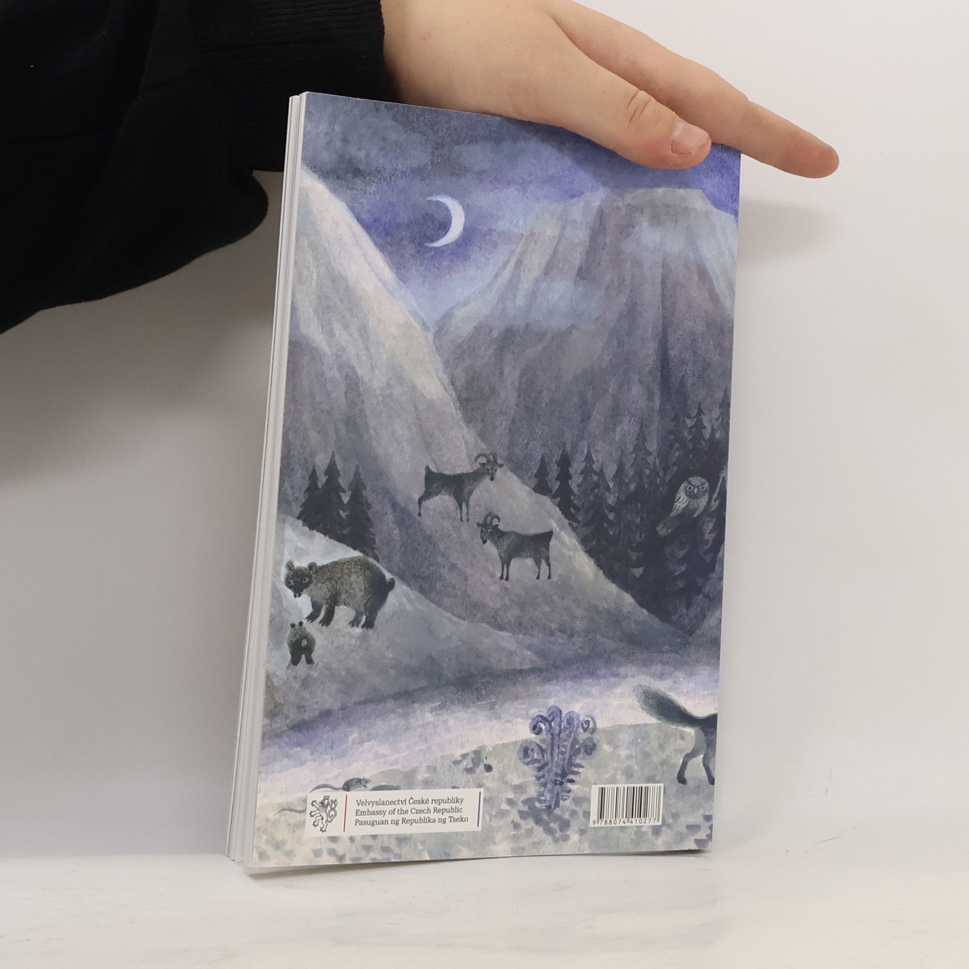 Martin Vopěnka A girl and a soul : fairytales from the mountains