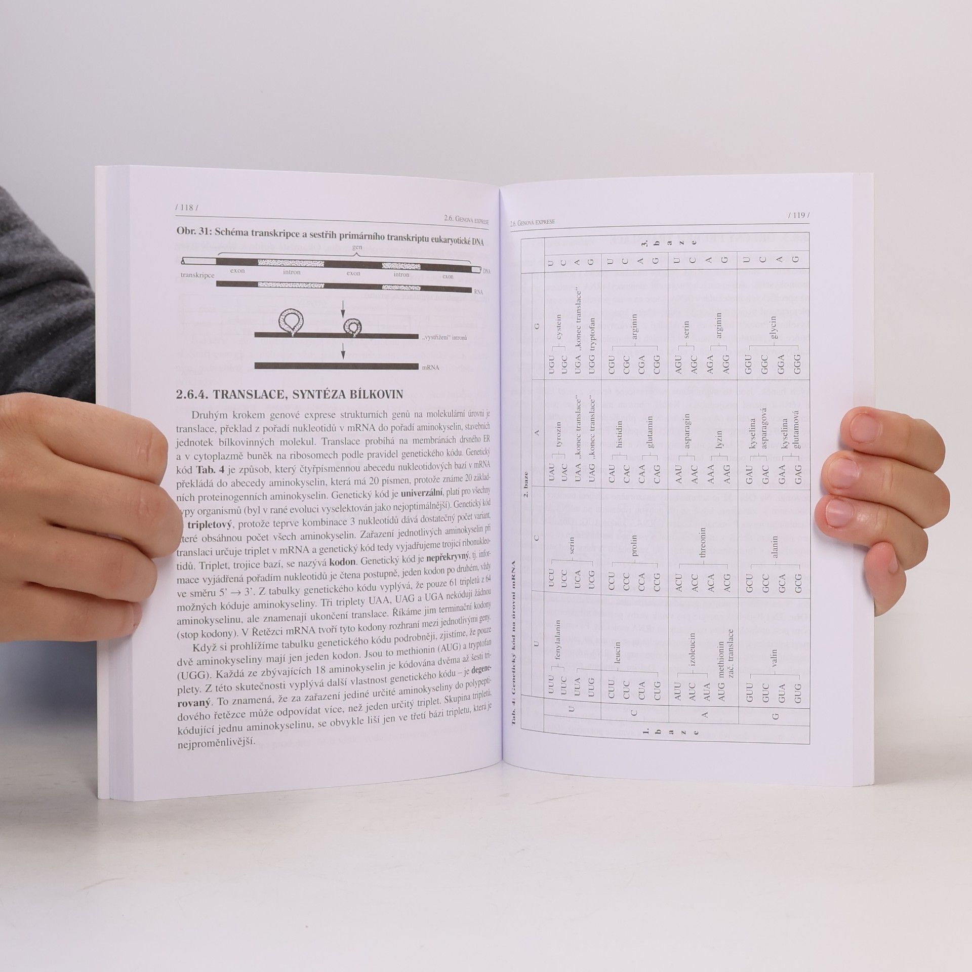 Chalupová - Karlovská, Vlastimila Obecná biologie: Evoluce, biologie buňky, genetika (2025)