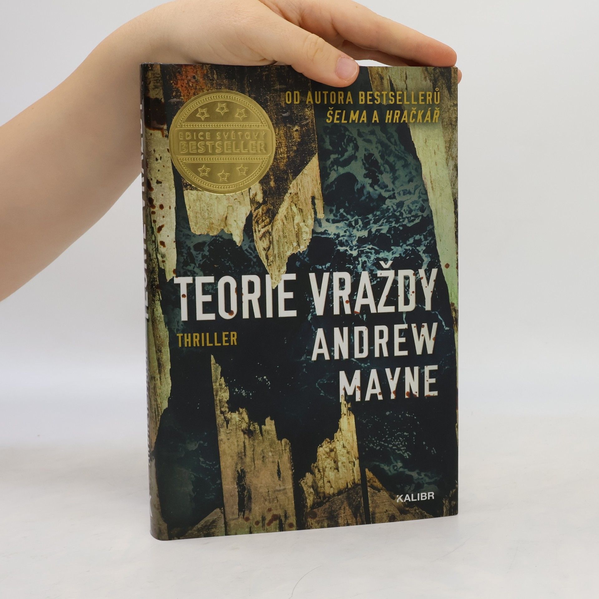 Andrew Mayne Teorie vraždy