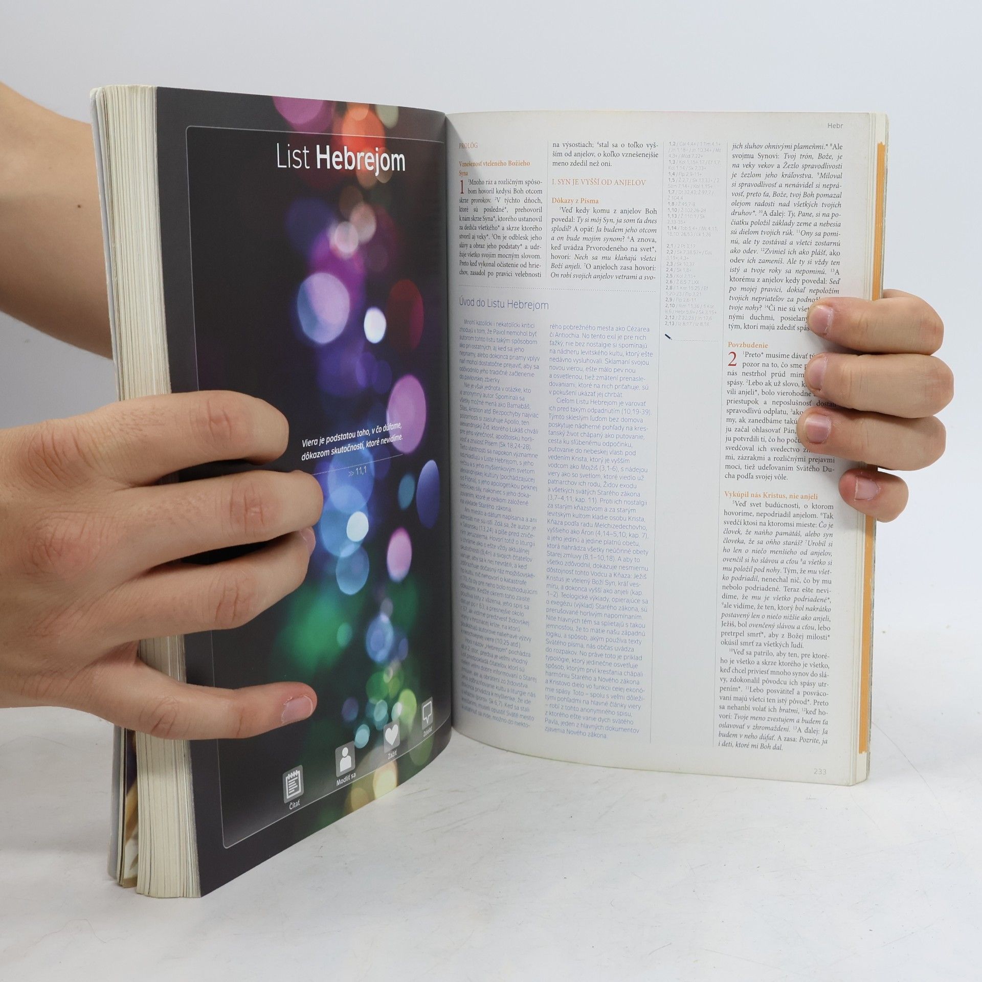 Anton Botek Biblia. 1SLOVO. Nový zákon