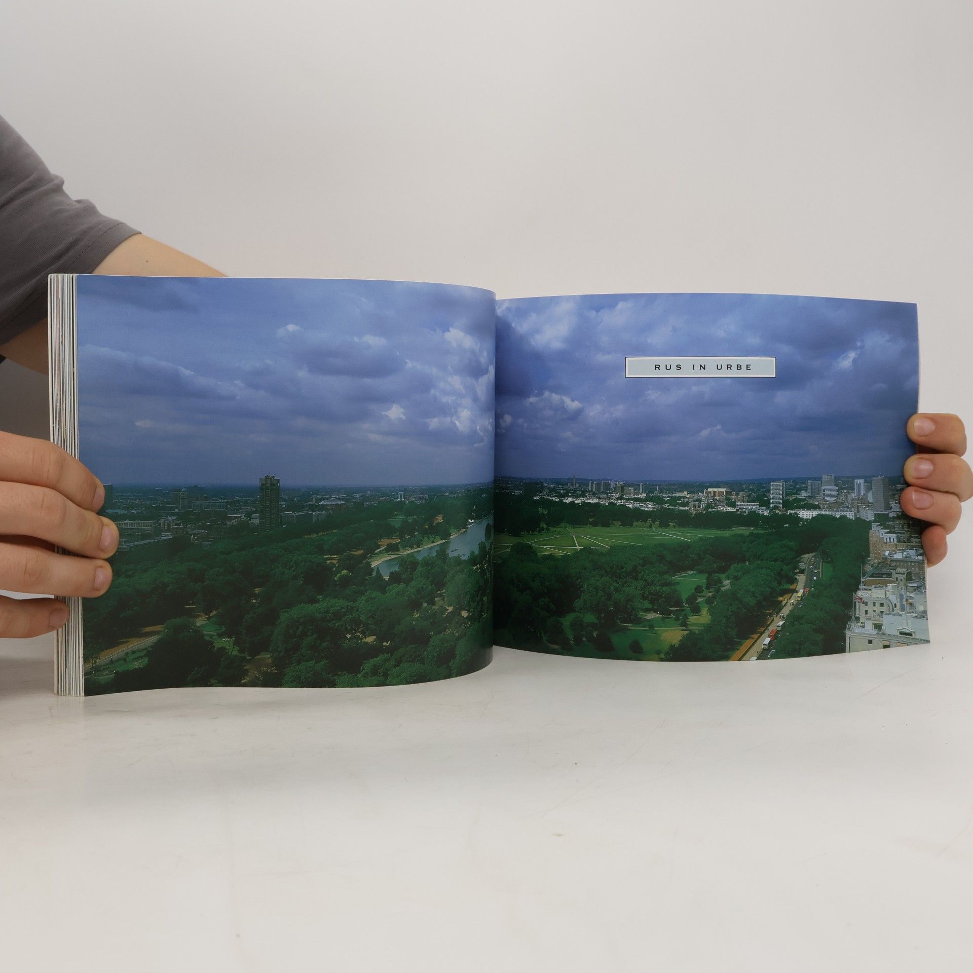 Rowan Moore Panoramas of London