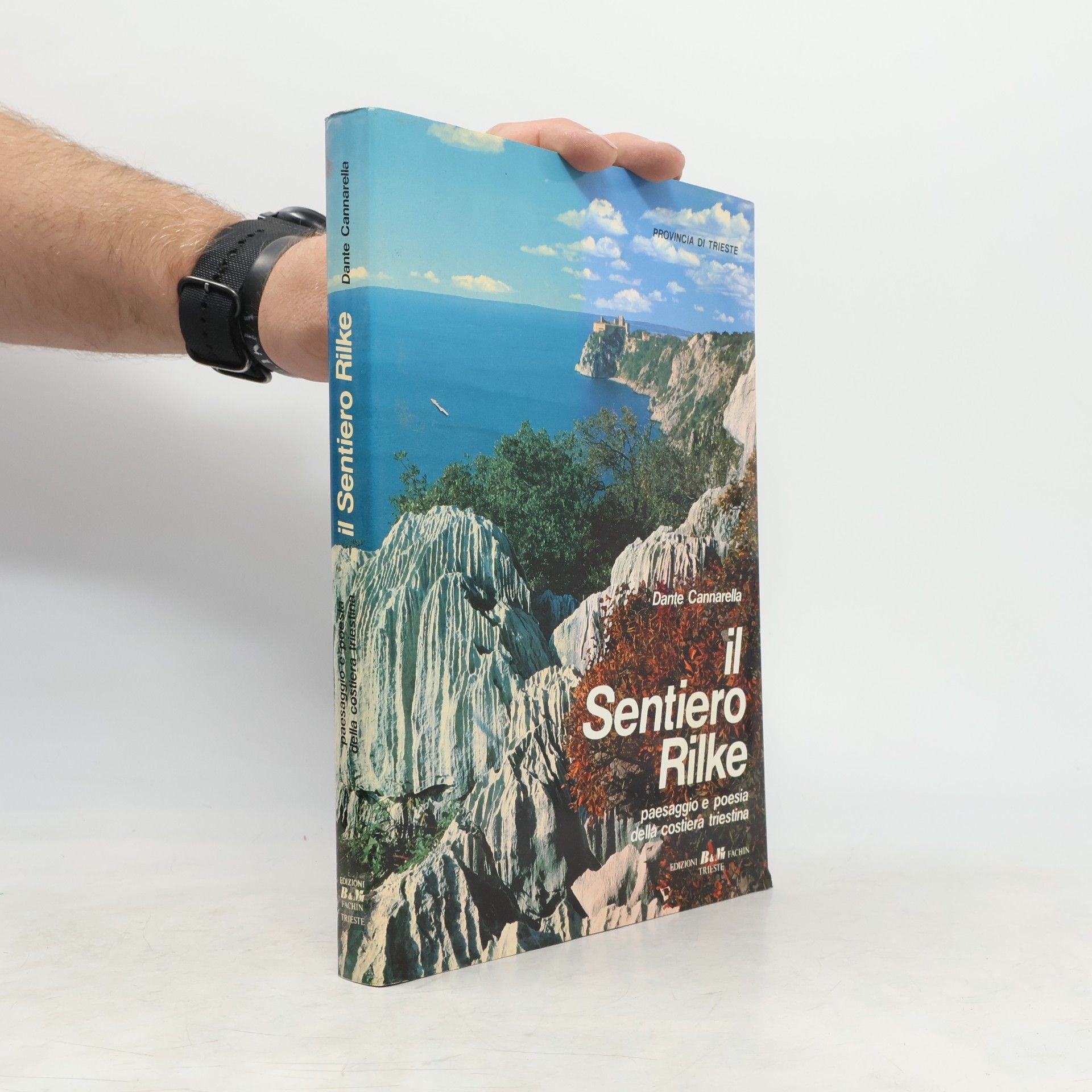 Dante Cannarella Il Sentiero Rilke