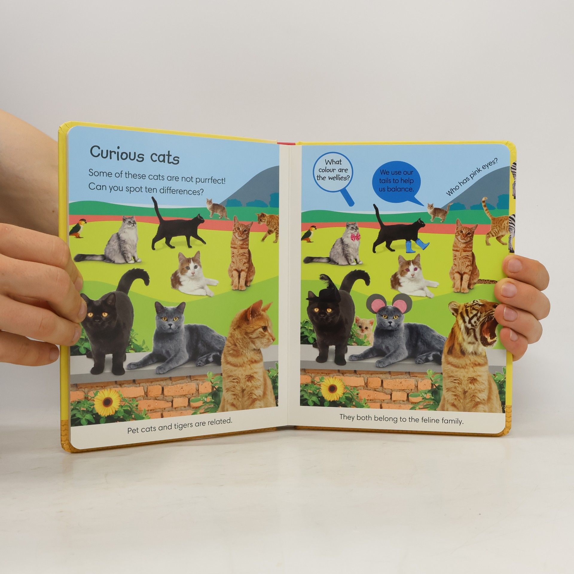 DK Publishing Spot the Difference Animals