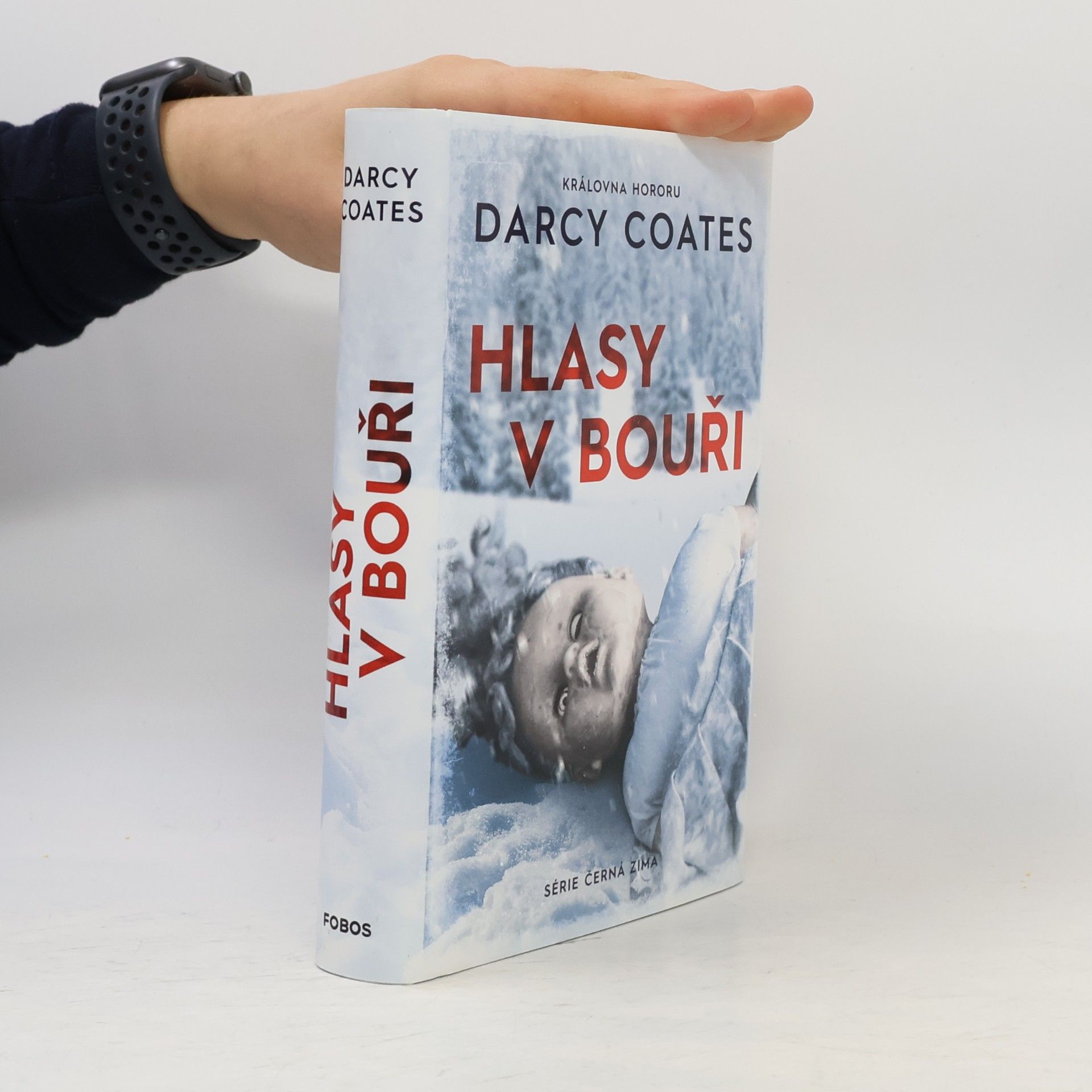 Darcy Coates Hlasy v bouři