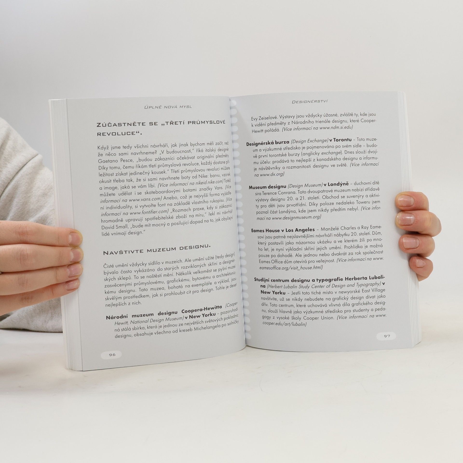 Daniel H. Pink Úplně nová mysl. Proč budoucnost patří pravým hemisférám