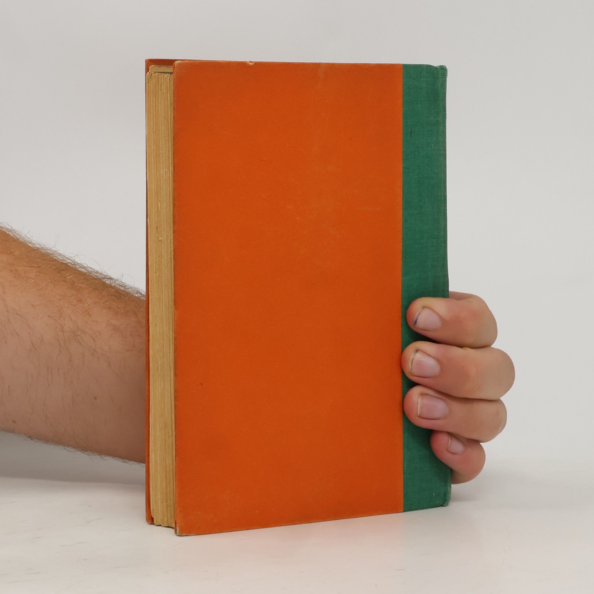 Thea von Harbou Das Nibelungenbuch