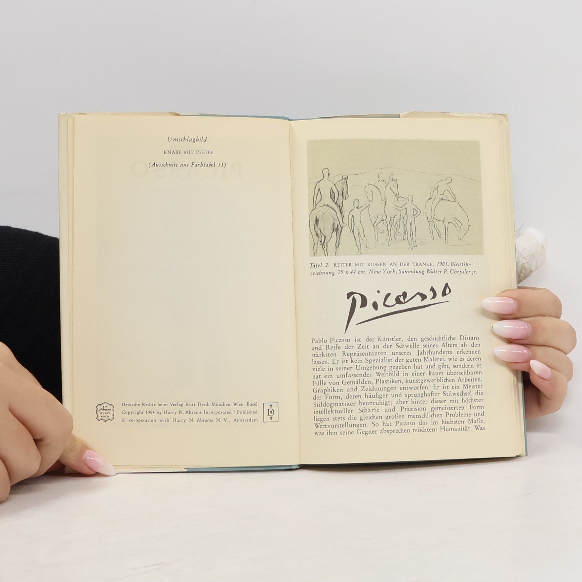 kolektiv Picasso