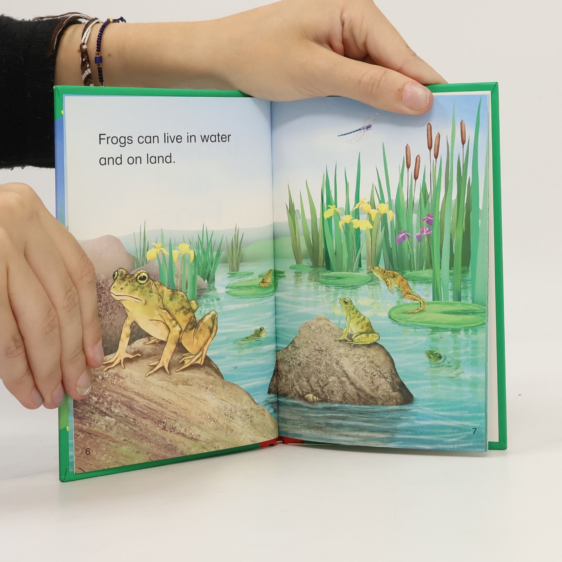 kolektiv Tadpoles and Frogs. Level 2