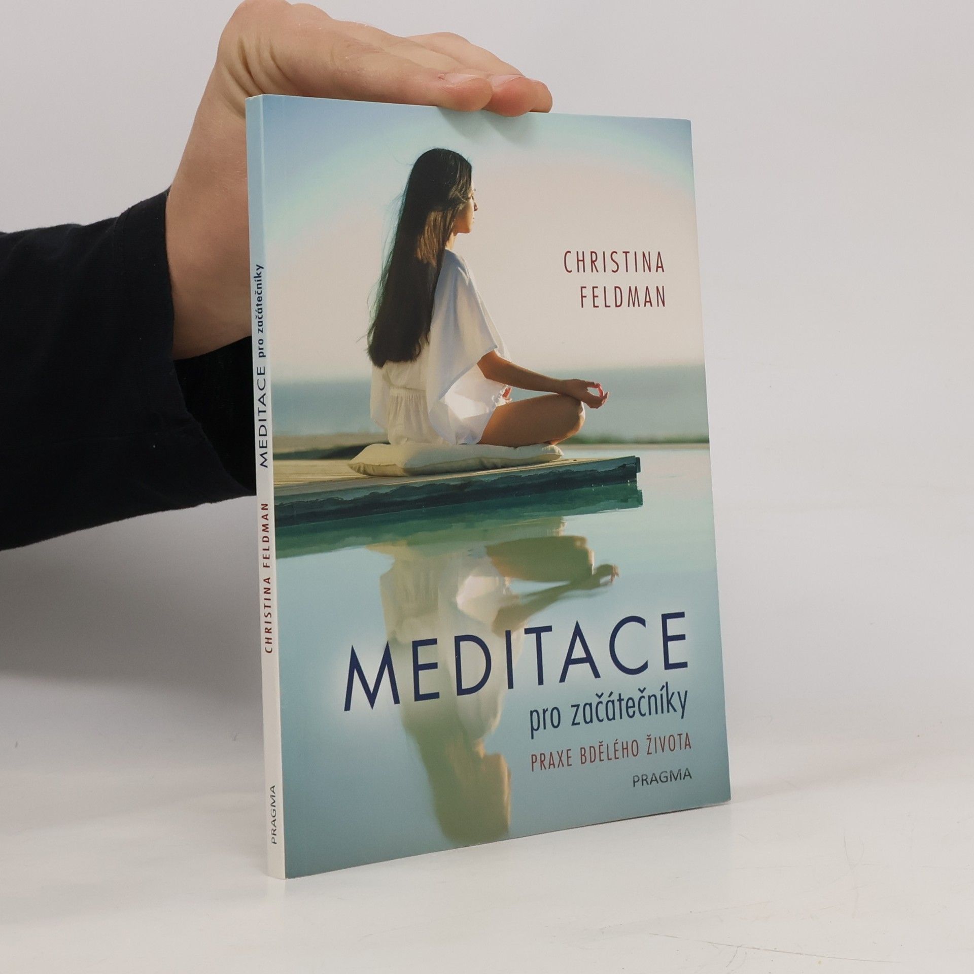 Christina Feldman Meditace pro začátečníky. Praxe bdělého života