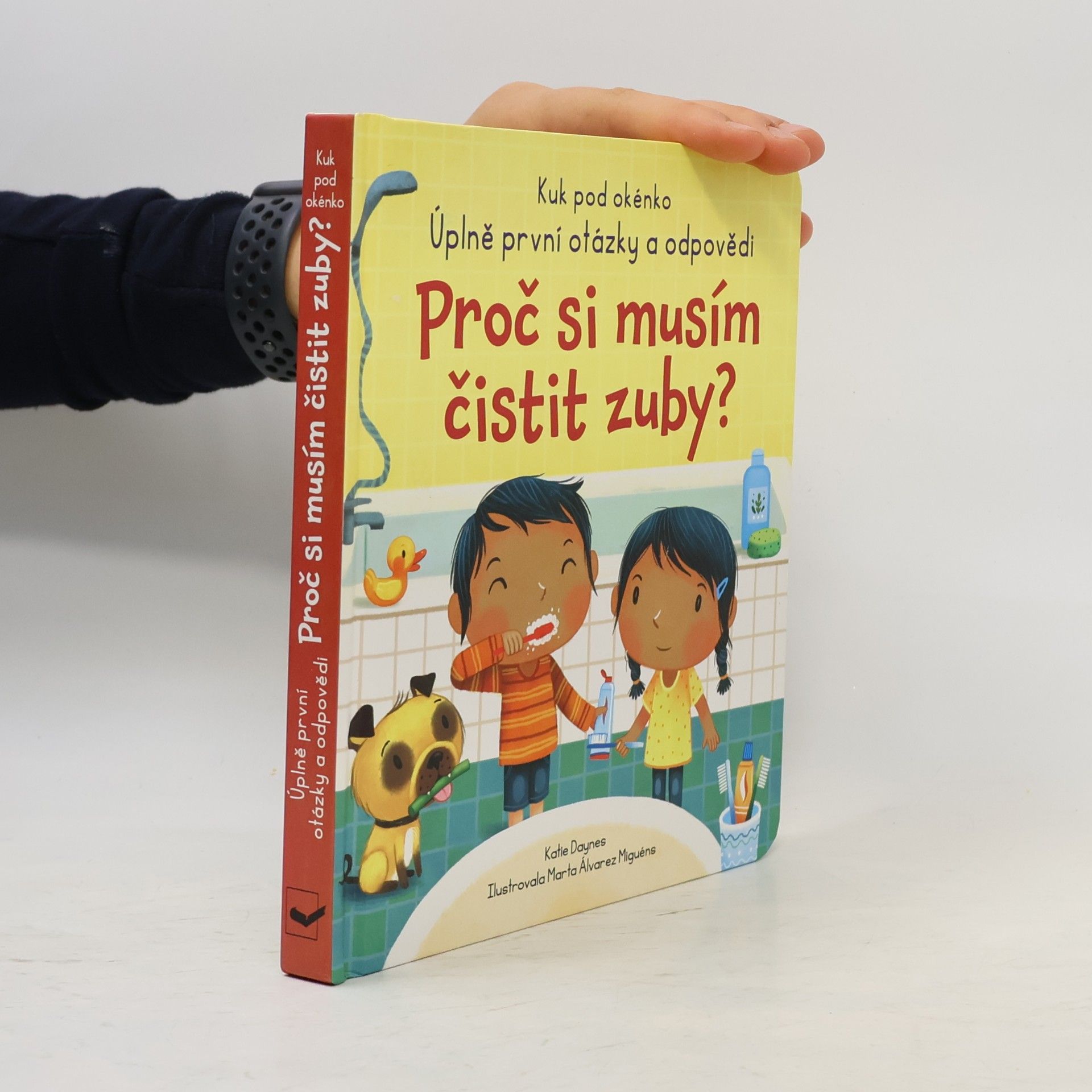 Katie Daynes Proč si musím čistit zuby?