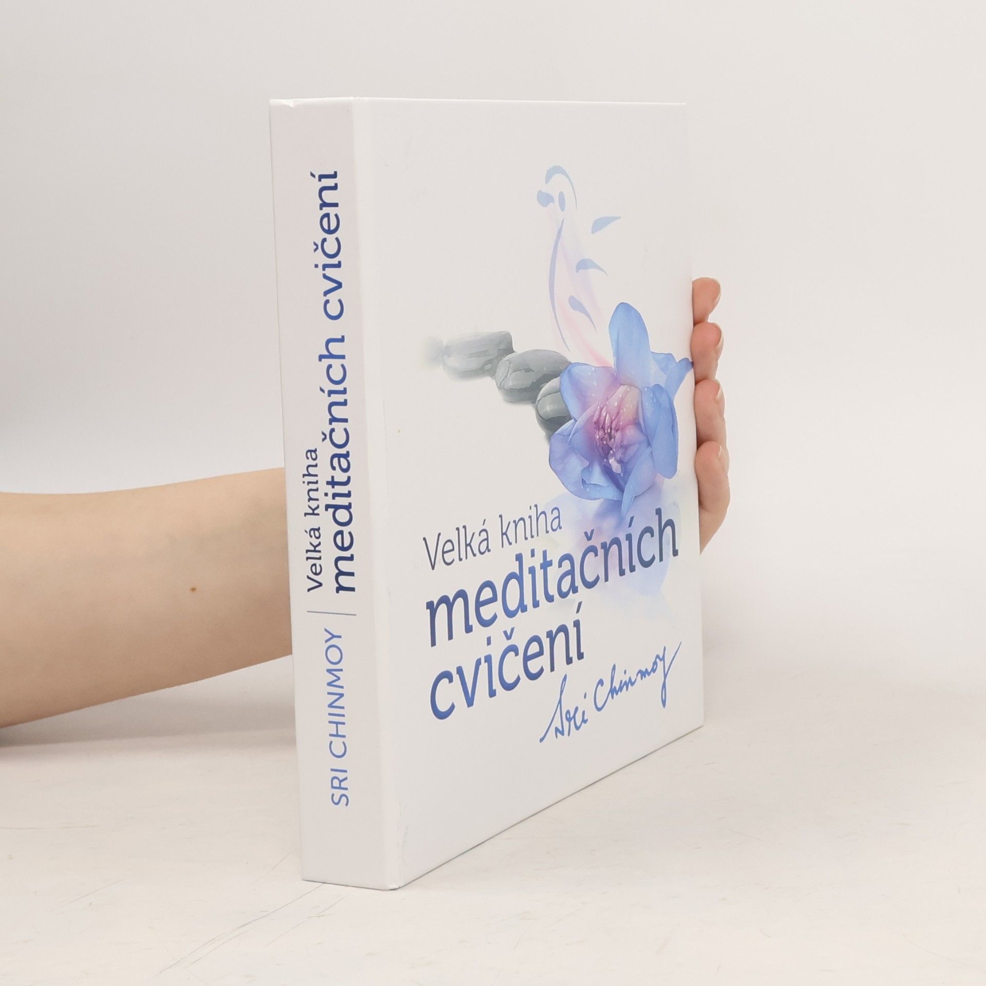 Velká kniha meditačních cvičení
