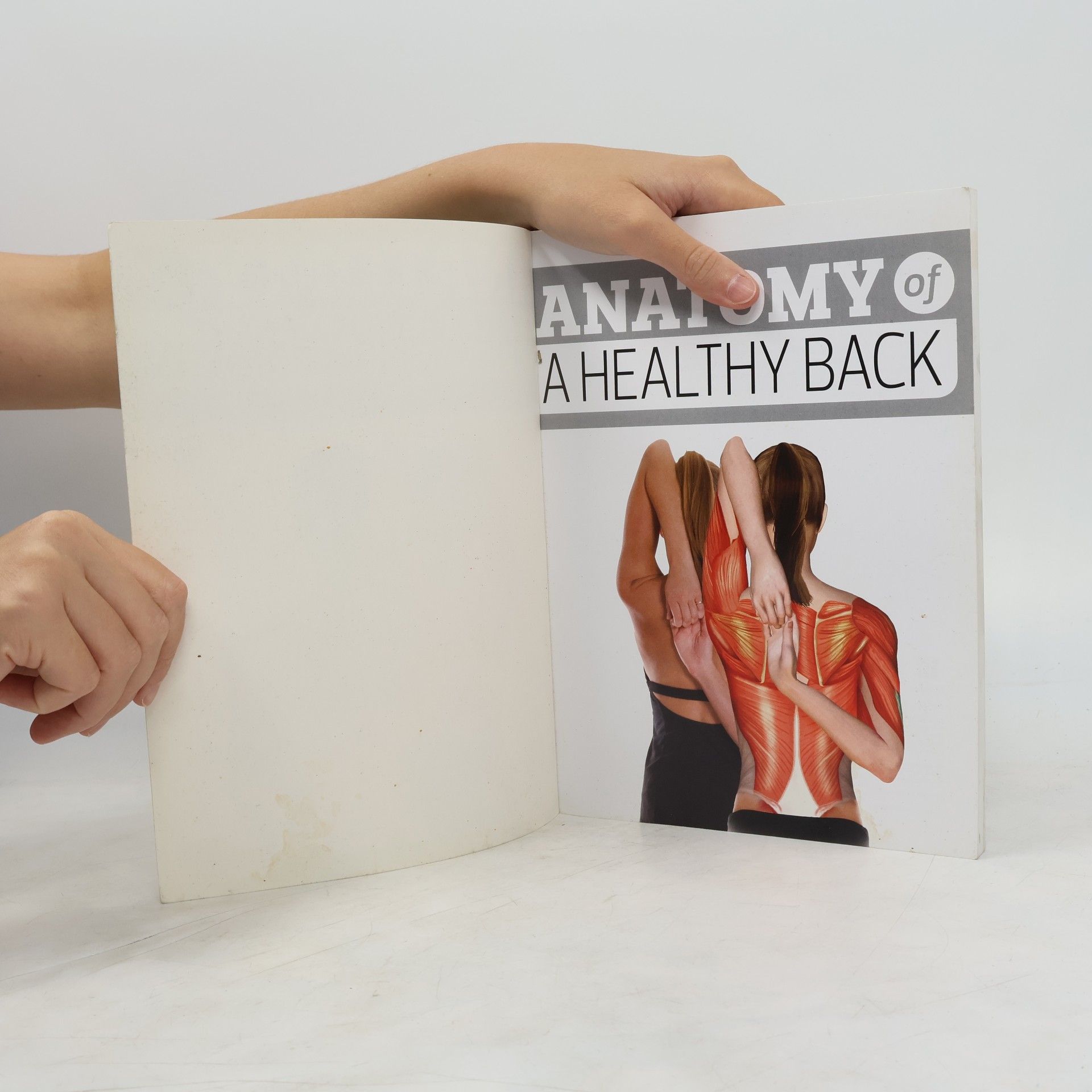 Philip Striano Anatomy of a Healthy Back