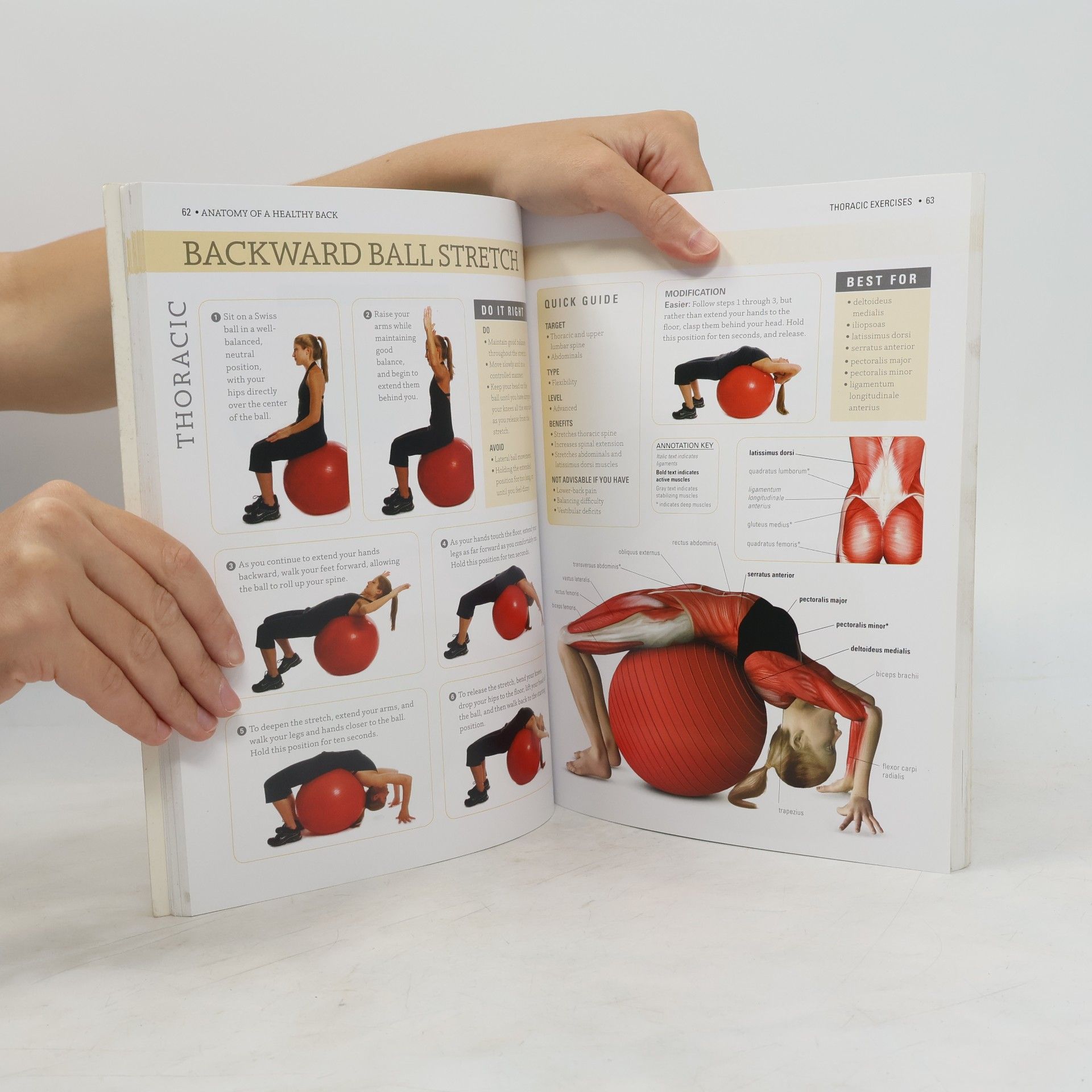 Philip Striano Anatomy of a Healthy Back