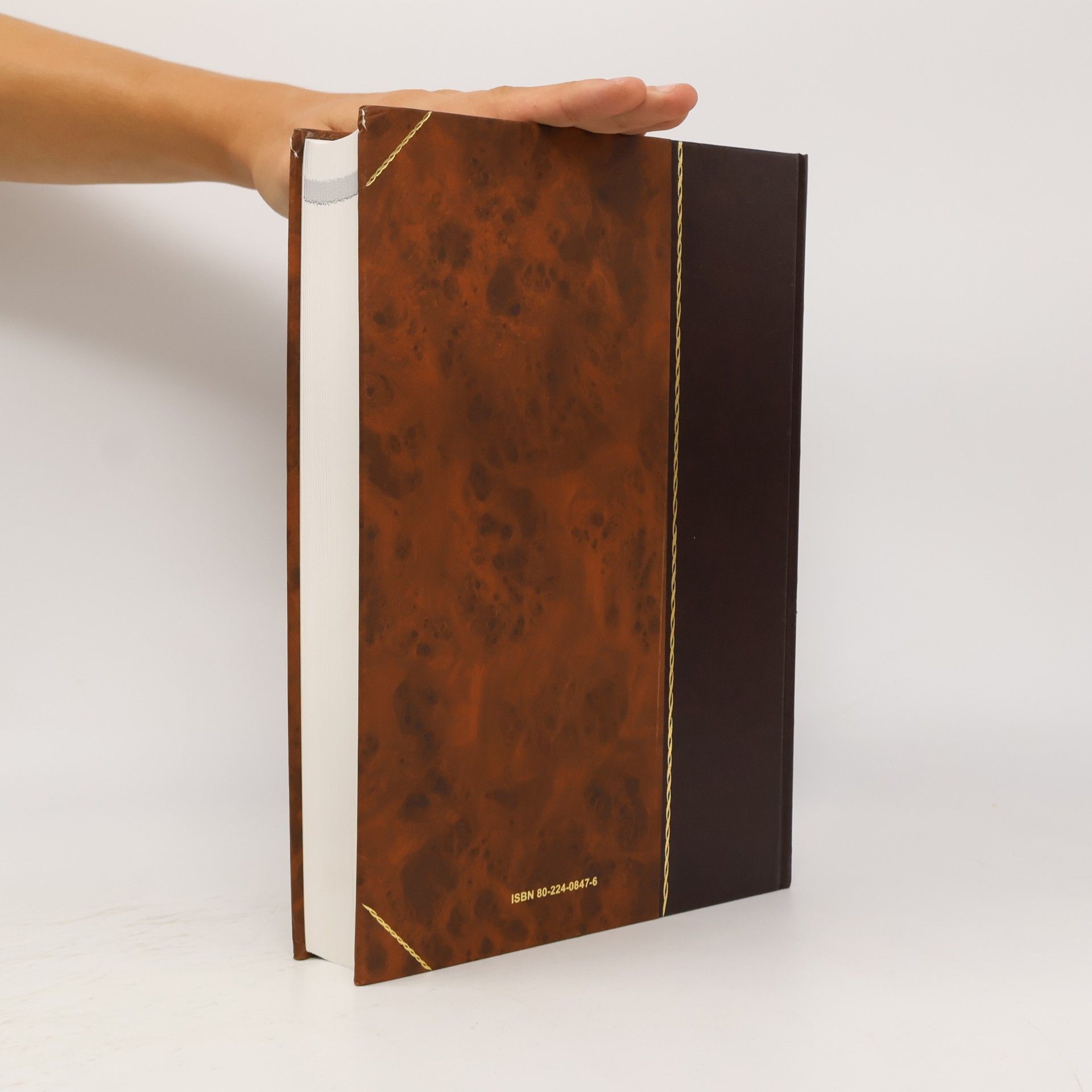 Kolektiv autorů Encyclopaedia Beliana 4