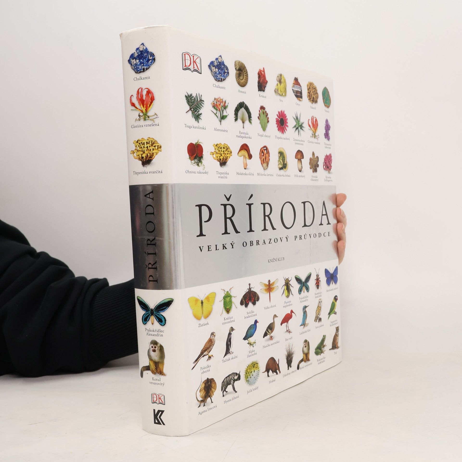 Richard Beatty Příroda – Velký obrazový průvodce