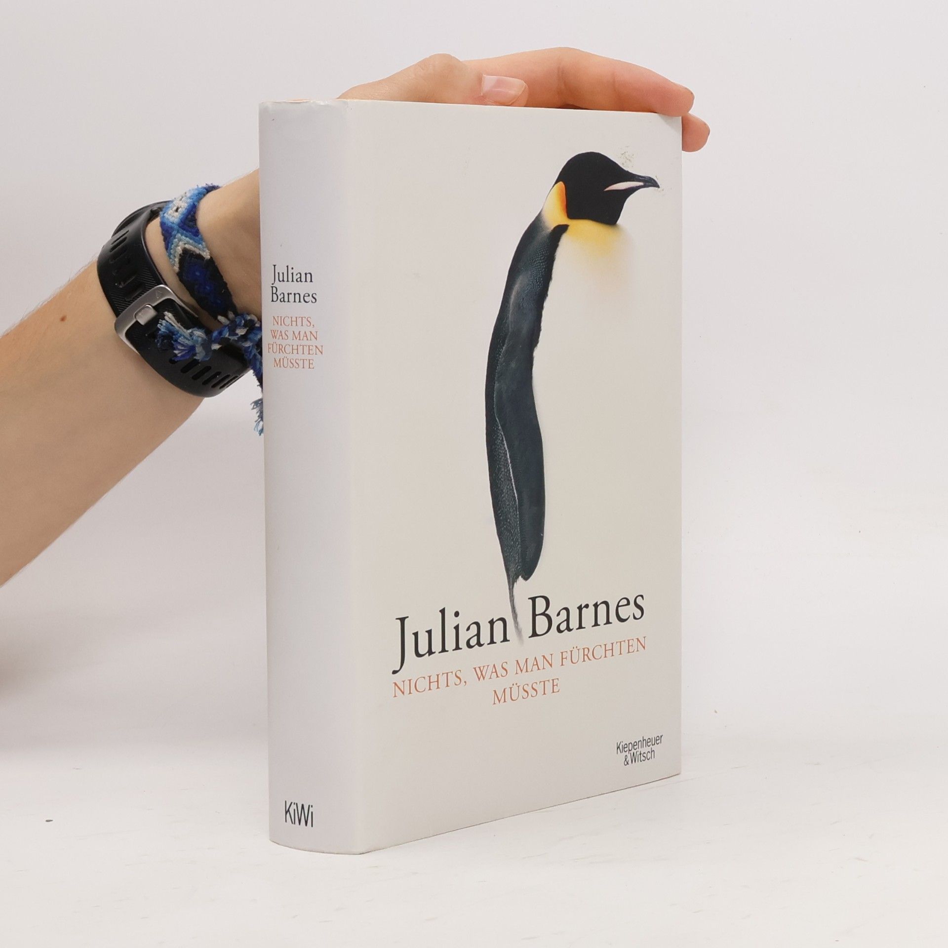 Julian Barnes Nichts, was man fürchten müsste