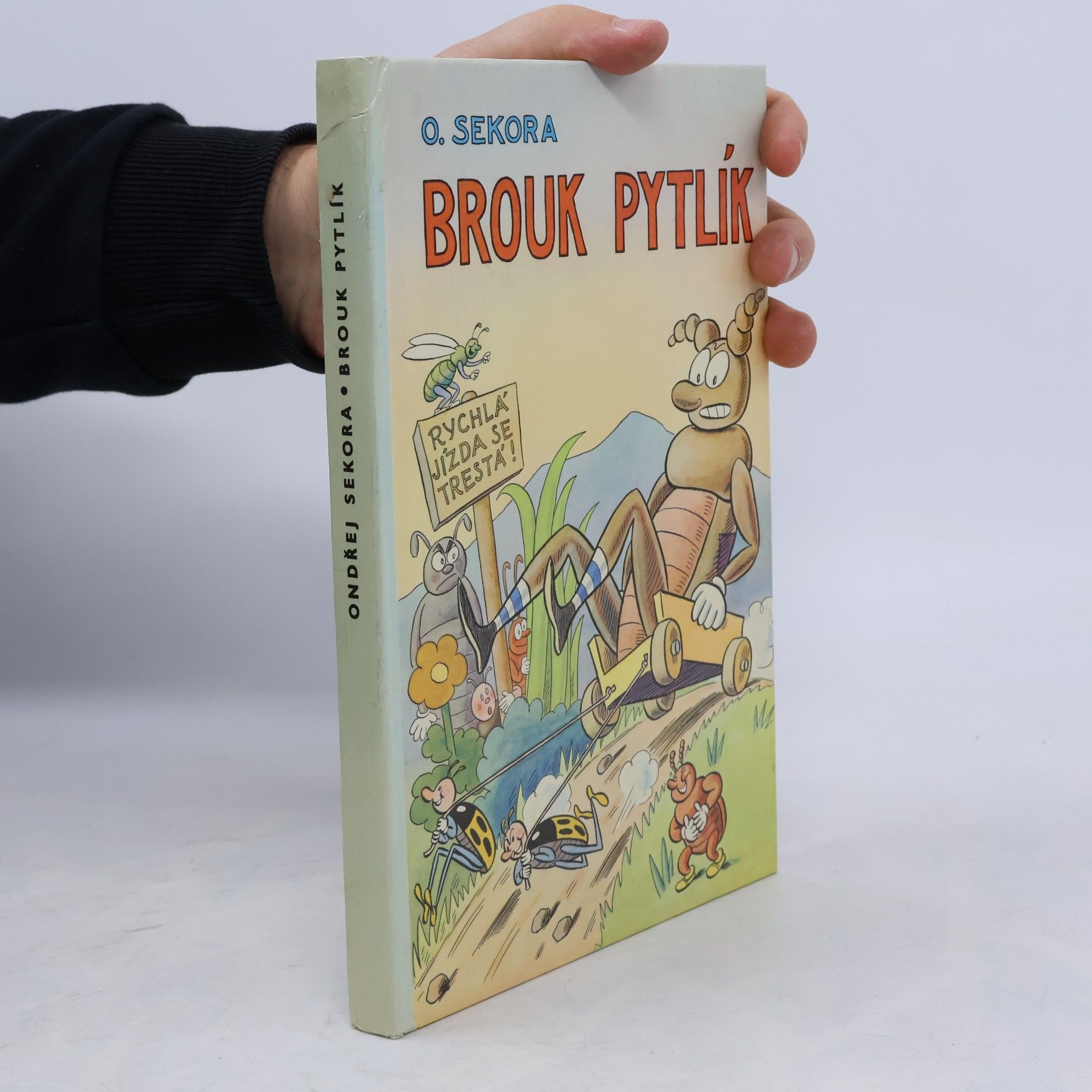 Brouk Pytlík