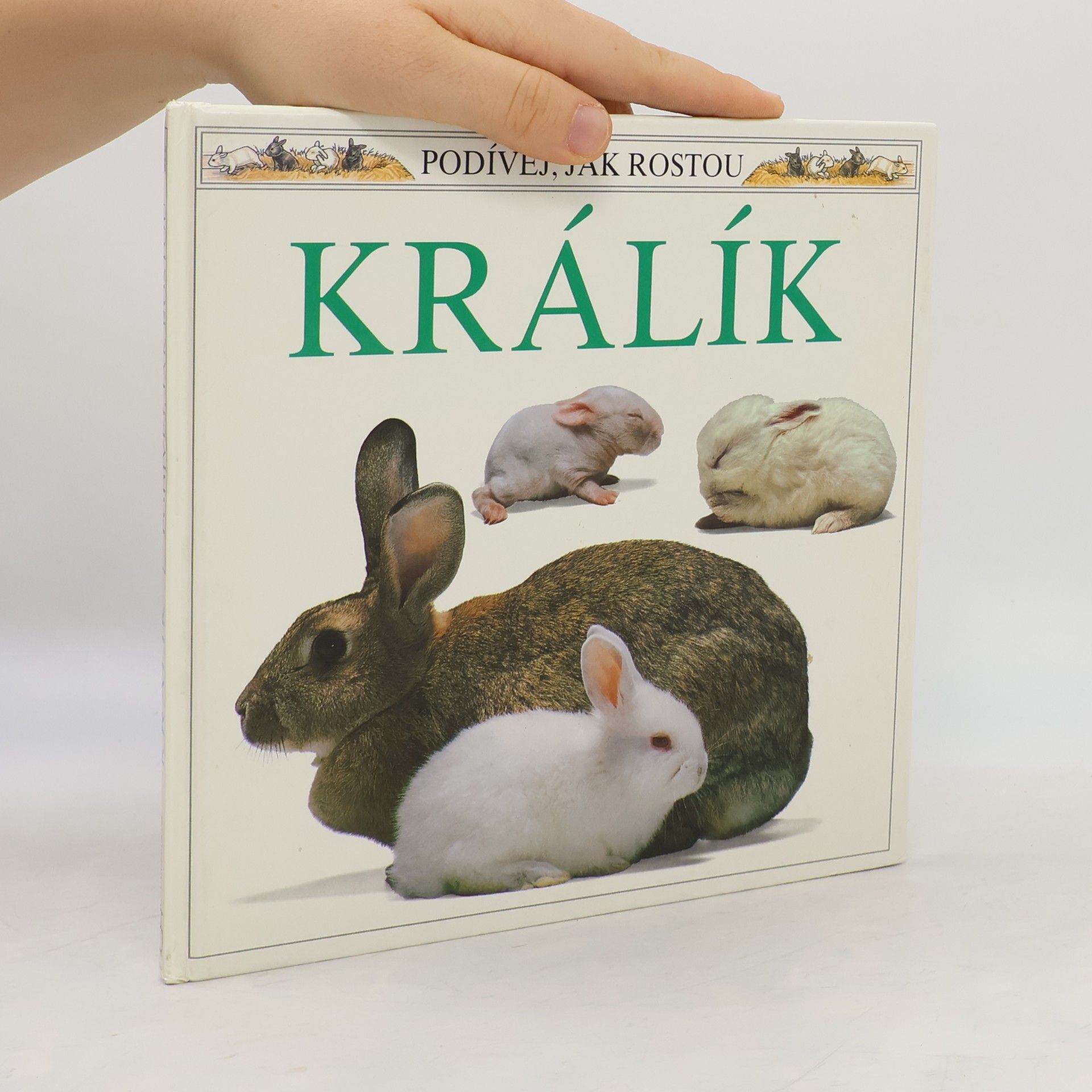 Kvetoslava Roháčová Králík