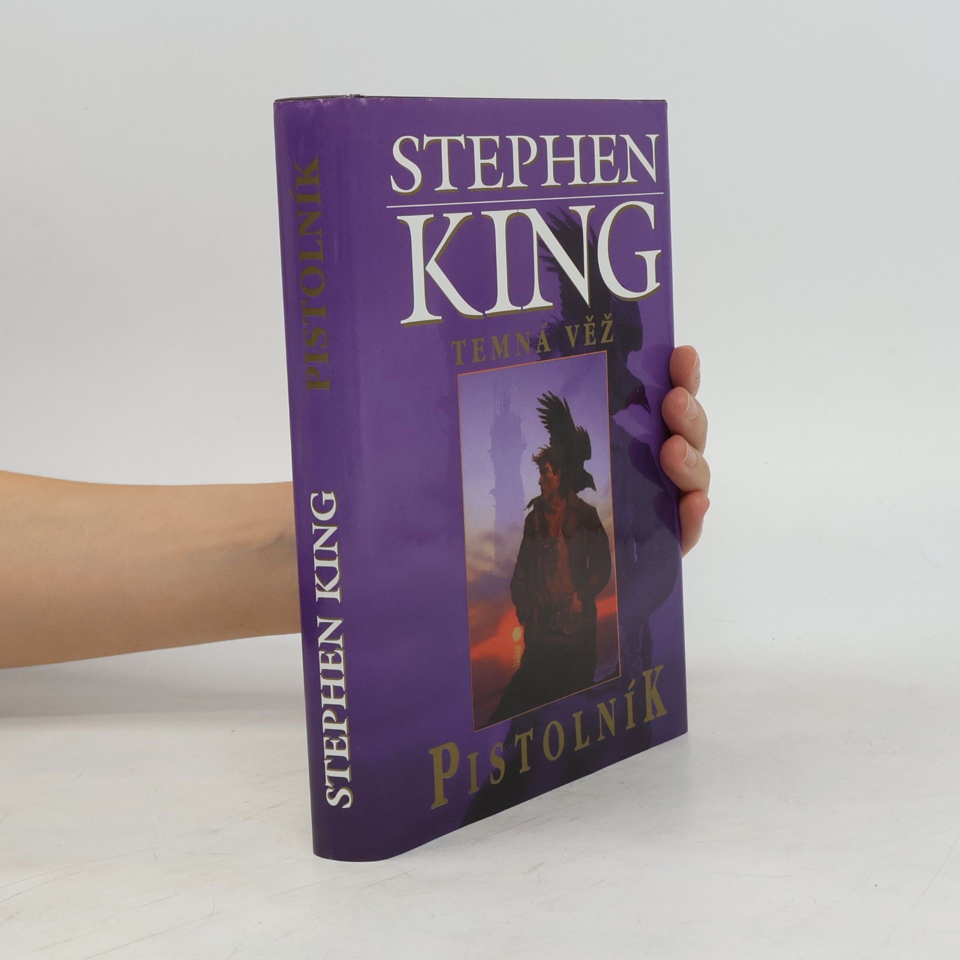 Stephen King Temná věž. Pistolník
