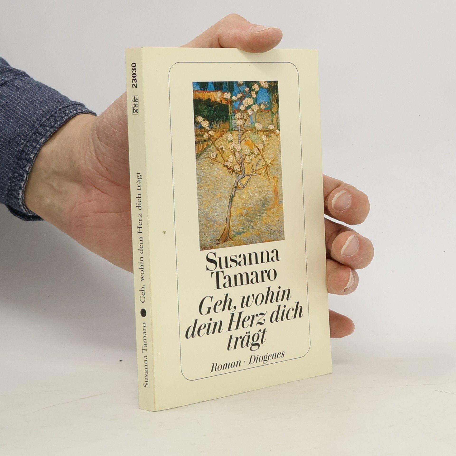 Susanna Tamaro Geh, wohin dein Herz dich trägt