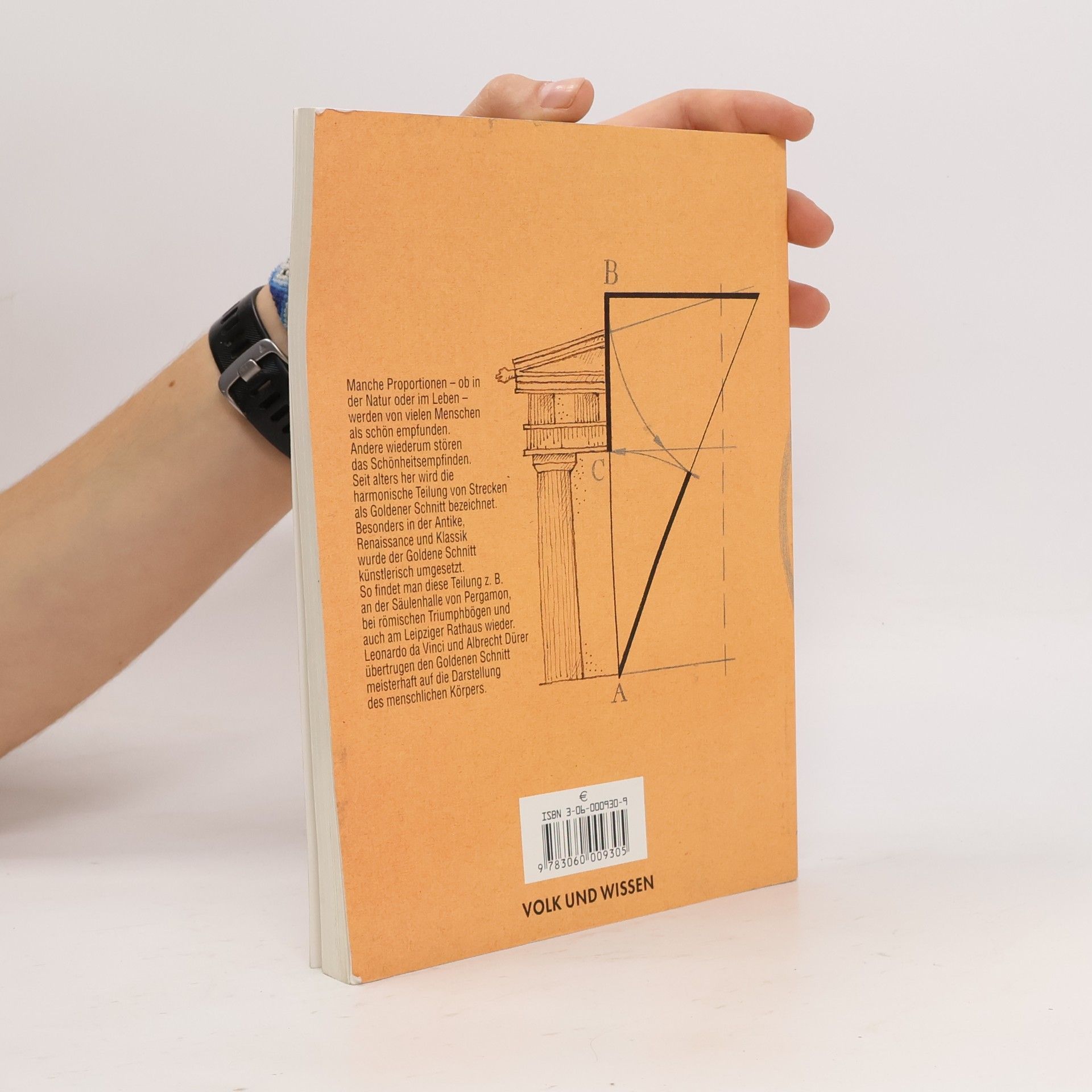 Werner Stoye Mathematik, Klasse 9, EURO, Lehrbuch, Ausgabe Gymnasium