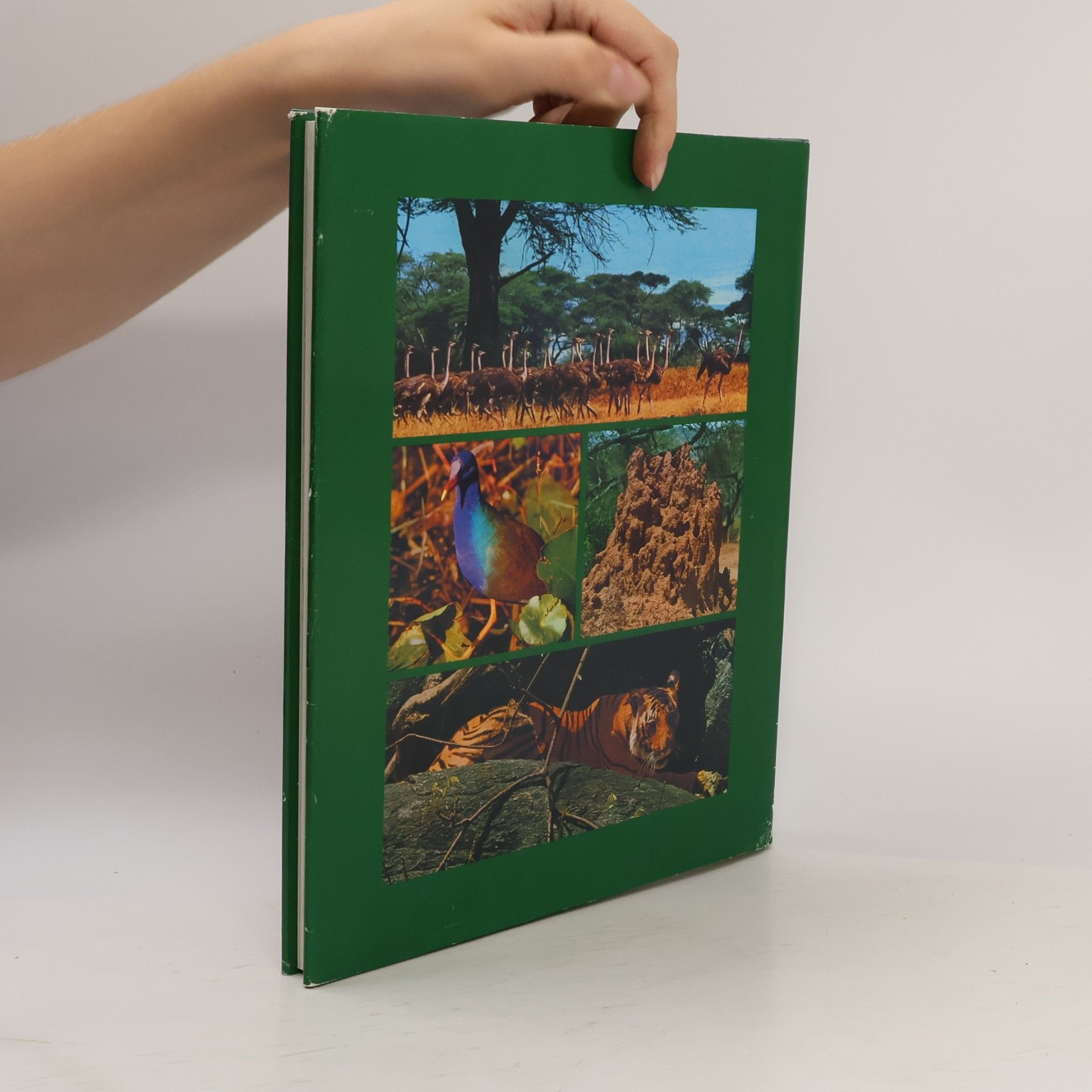 Autorenkollektiv Großes Lexikon der Tierwelt 11.