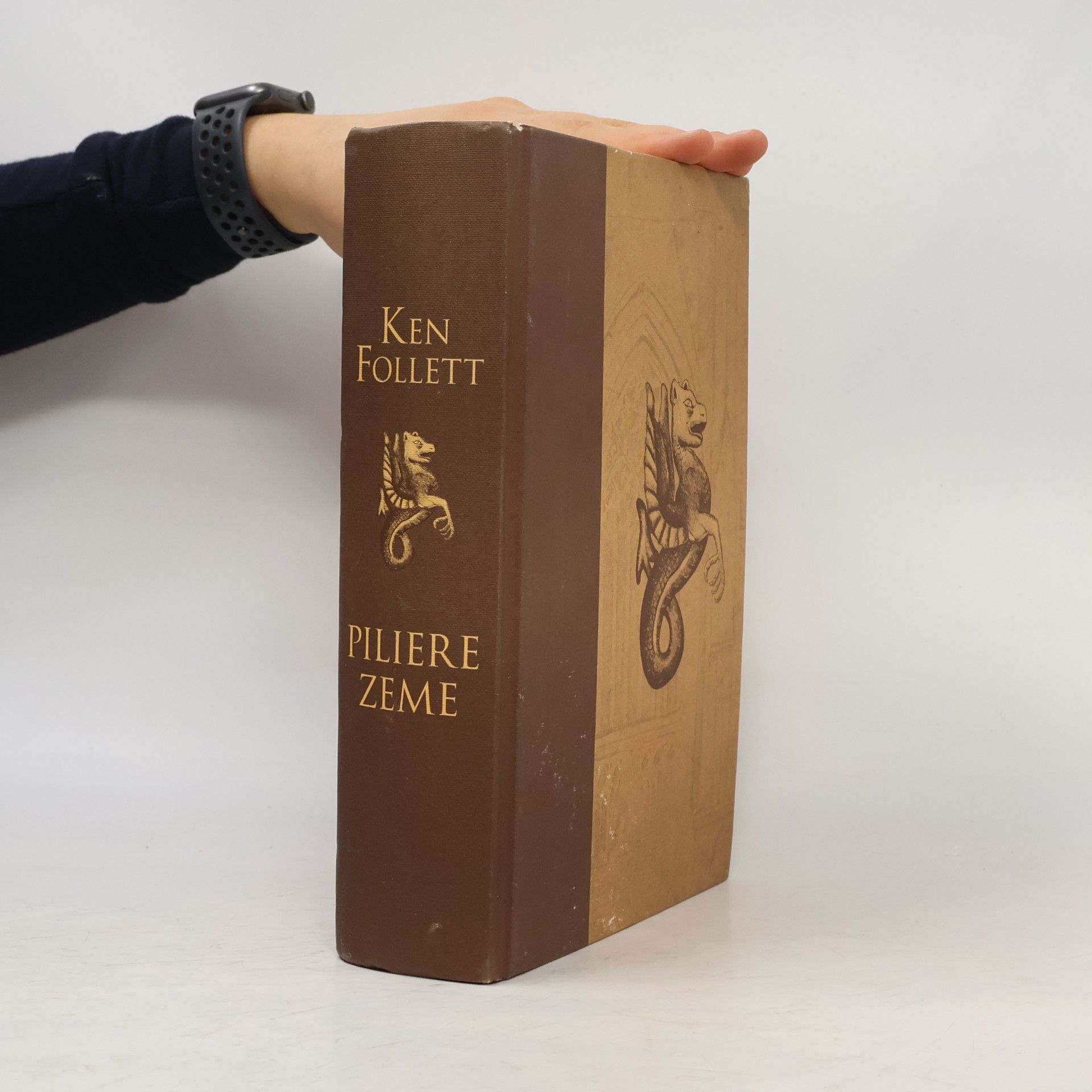 Ken Follett Piliere zeme