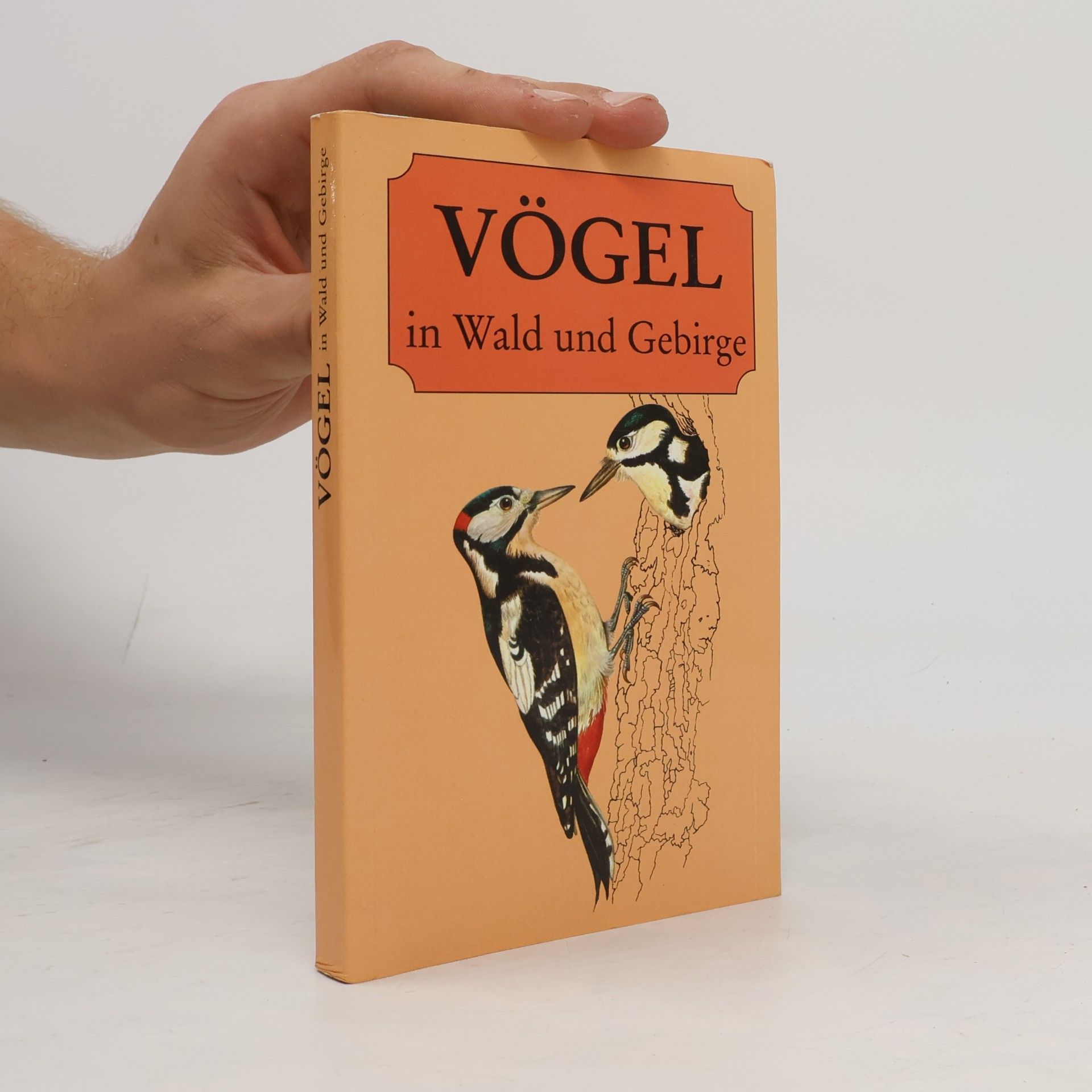 Kompakt- Naturführer. Vögel in Wald und Gebirge