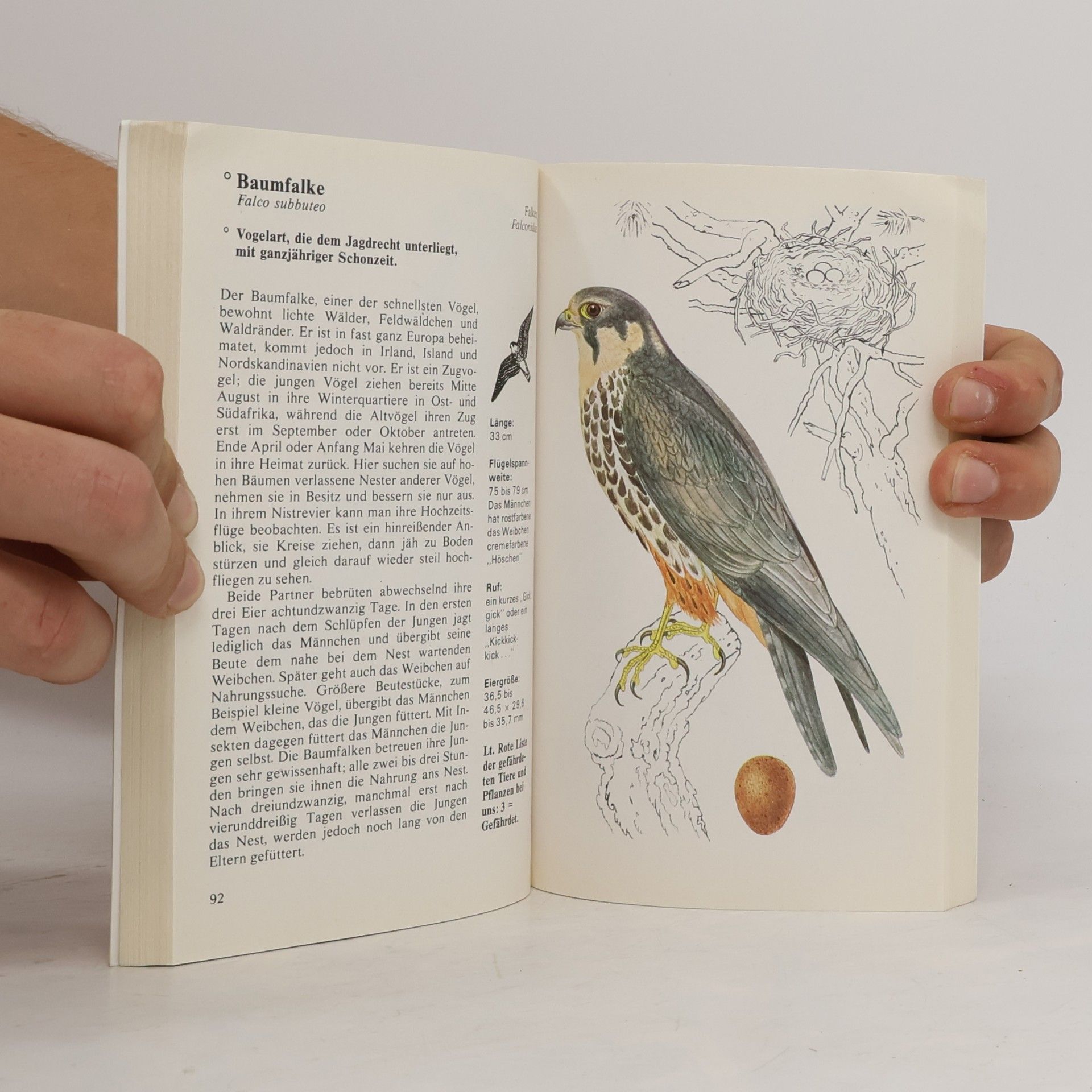 Jiří Felix Kompakt- Naturführer. Vögel in Wald und Gebirge