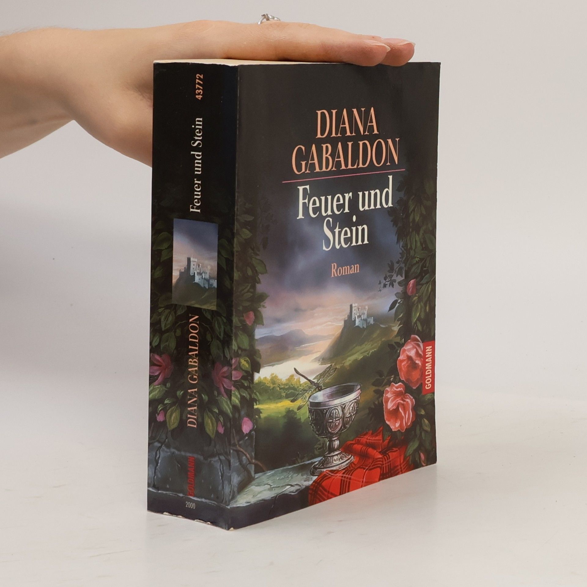 Diana Gabaldon Feuer und Stein
