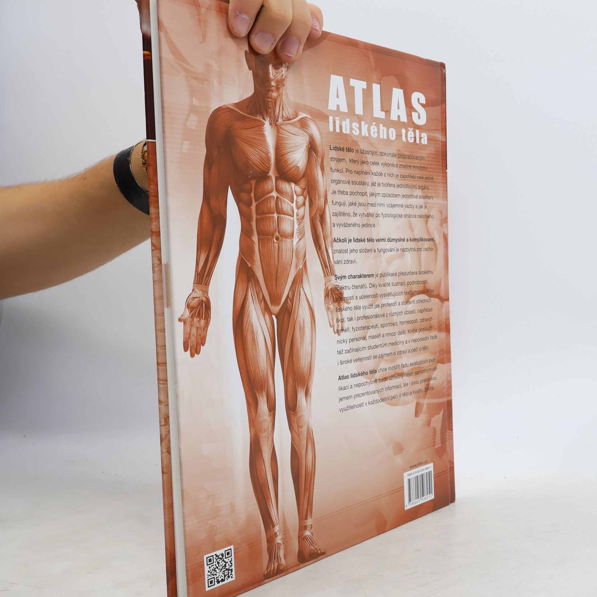Jordi Vigué Atlas lidského těla