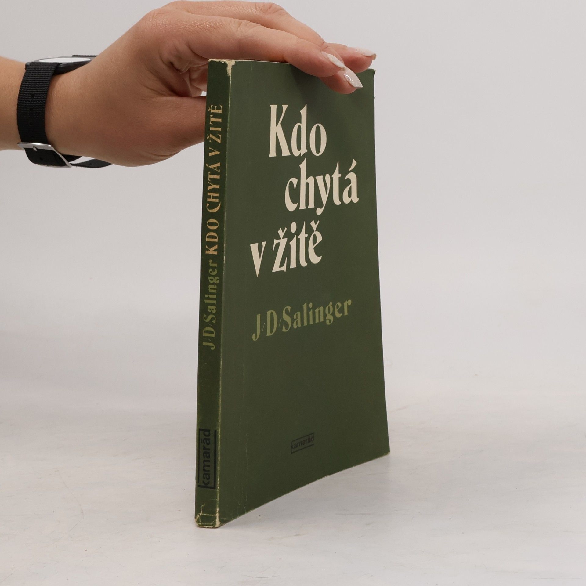J. D. Salinger Kdo chytá v žitě