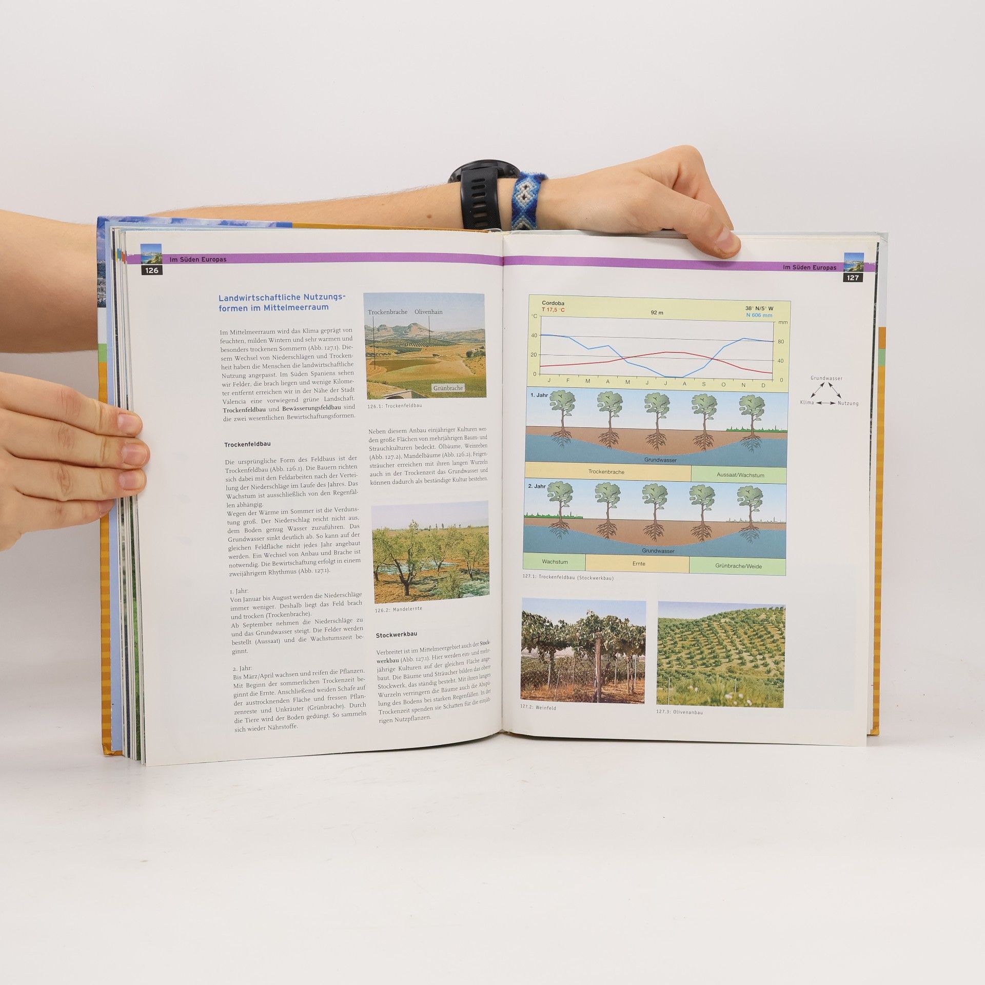 Seydlitz Geographie - Ausgabe 2005 für Gymnasien in Thüringen: Schülerband 2 ( Kl. 6 )