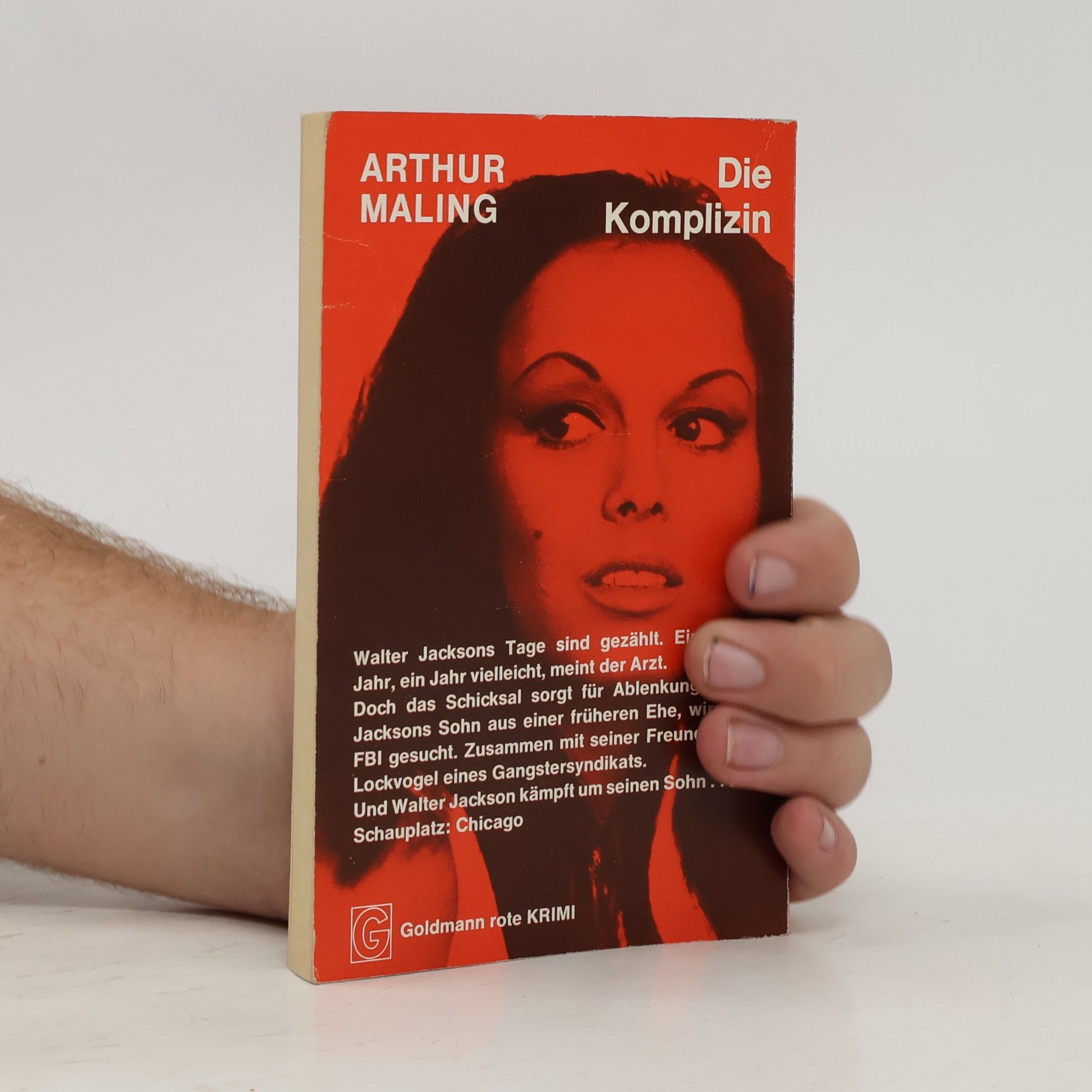 Arthur Maling Die Komplizin