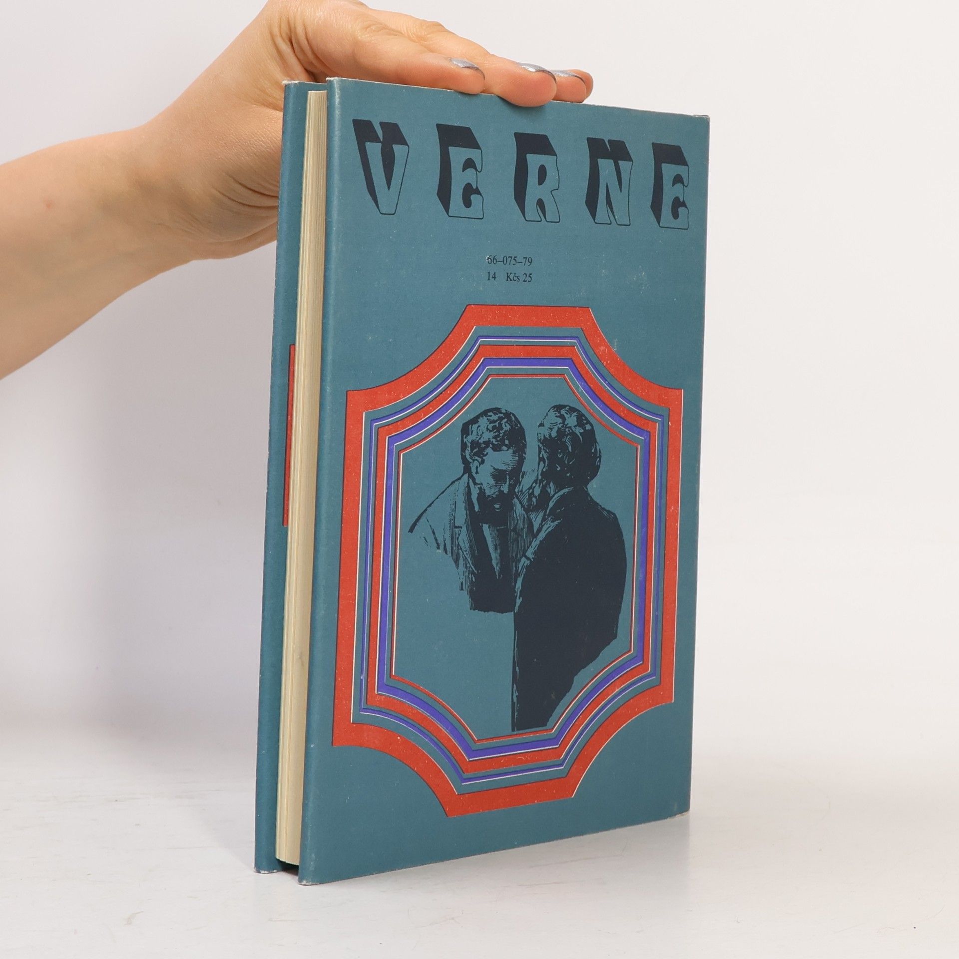 Jules Verne Bratia Kipovci