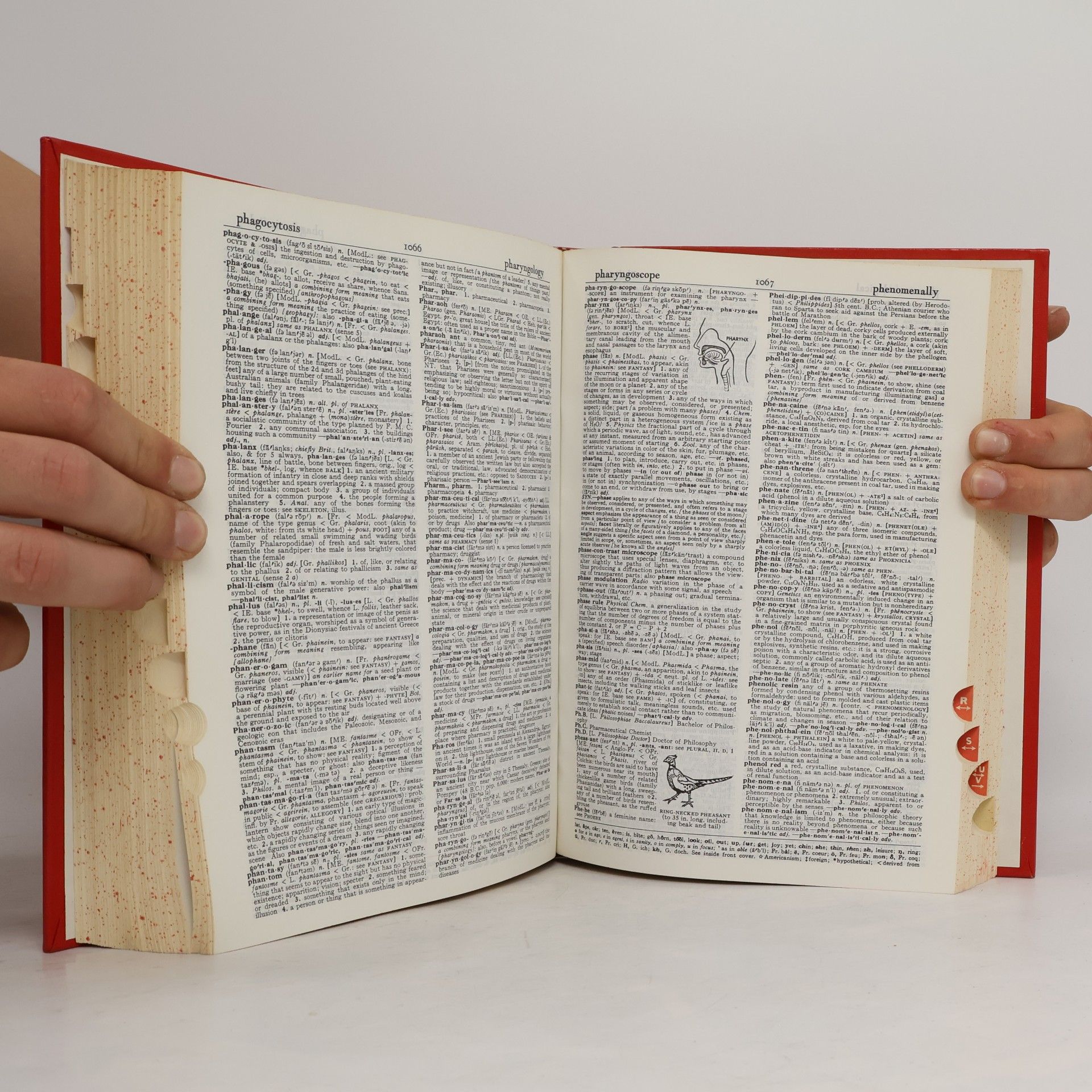 AA.VV. Webster's New World Dictionary of the American Language