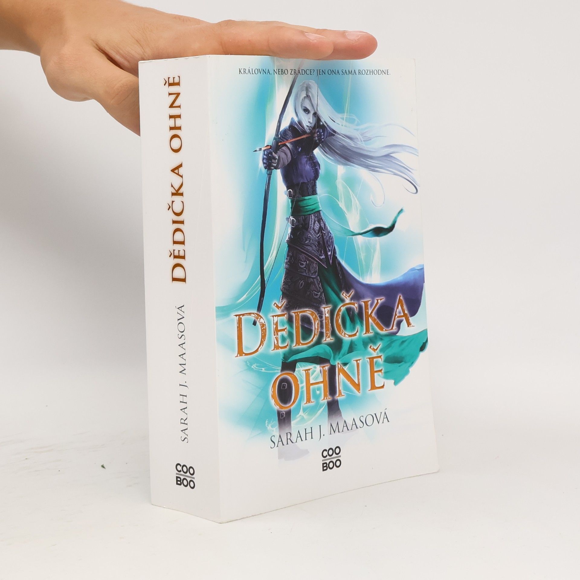 Sarah J. Maas Dědička ohně