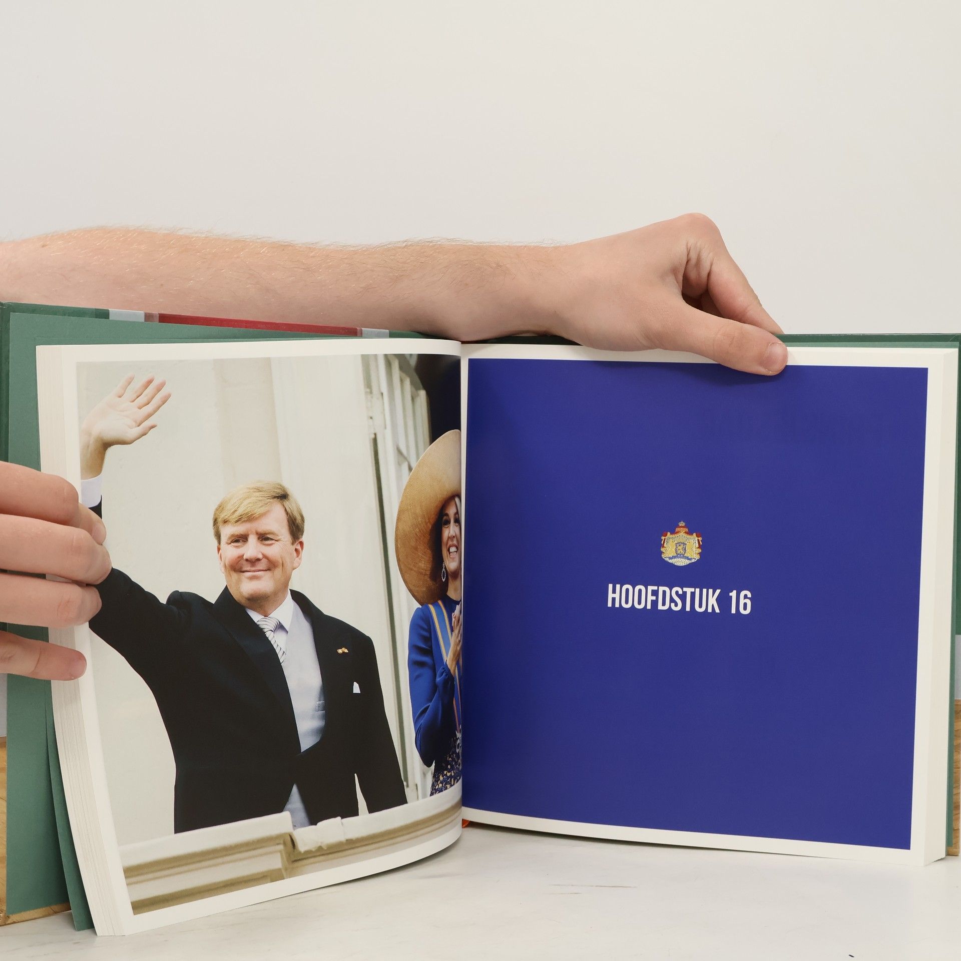 Marjolein Westerterp Willem Alexander, een koning om in te lijsten