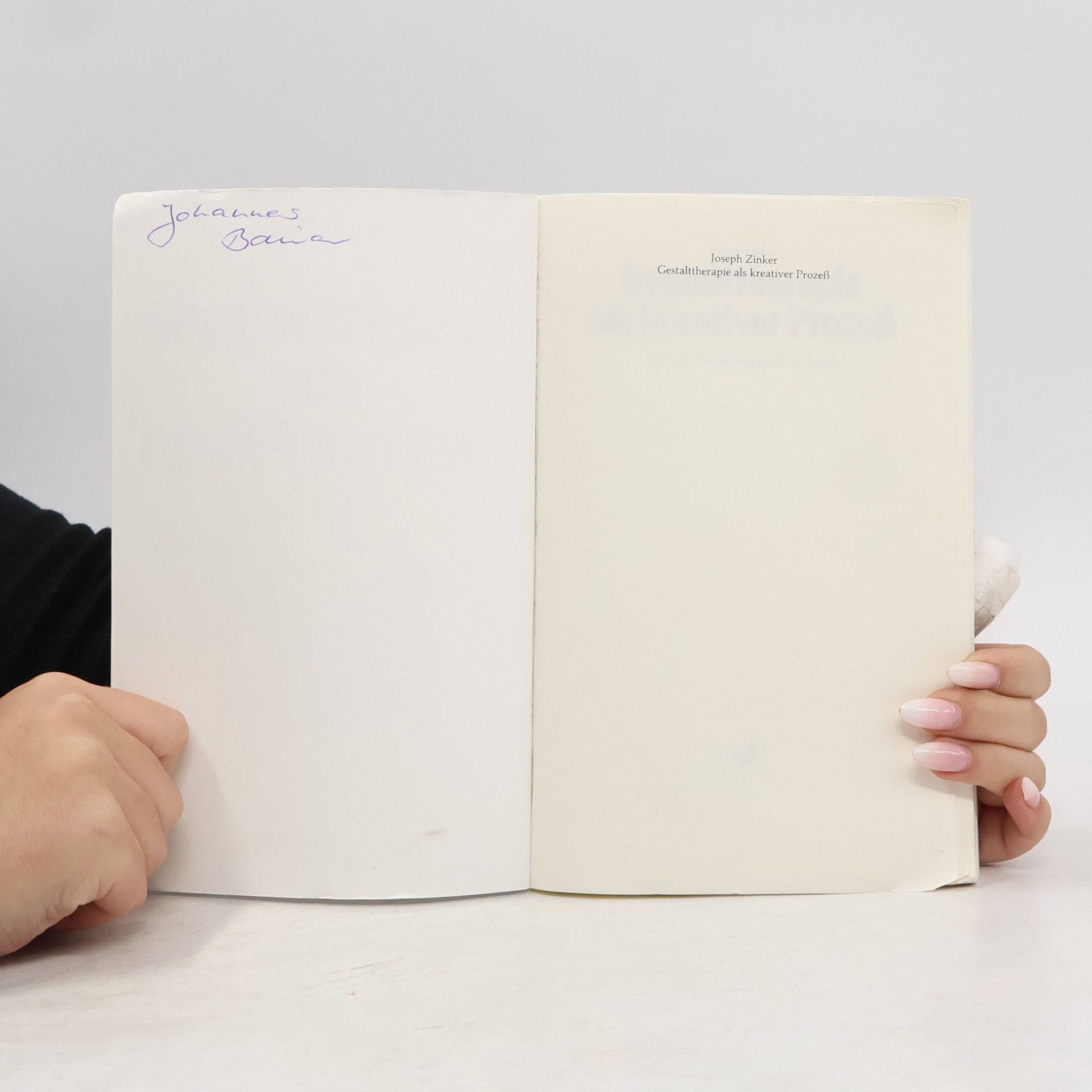 Joseph Zinker Gestalttherapie als kreativer Prozess