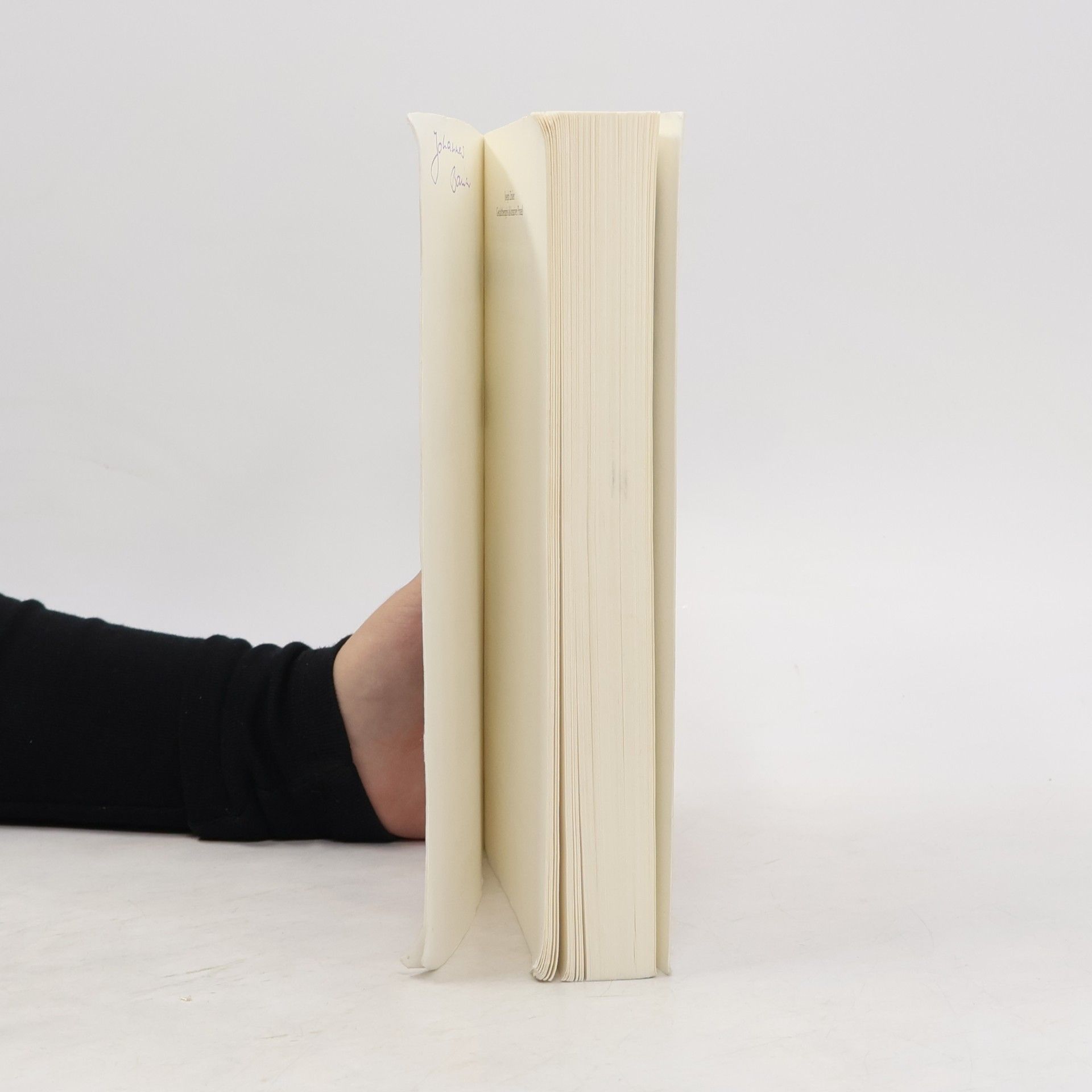 Joseph Zinker Gestalttherapie als kreativer Prozess