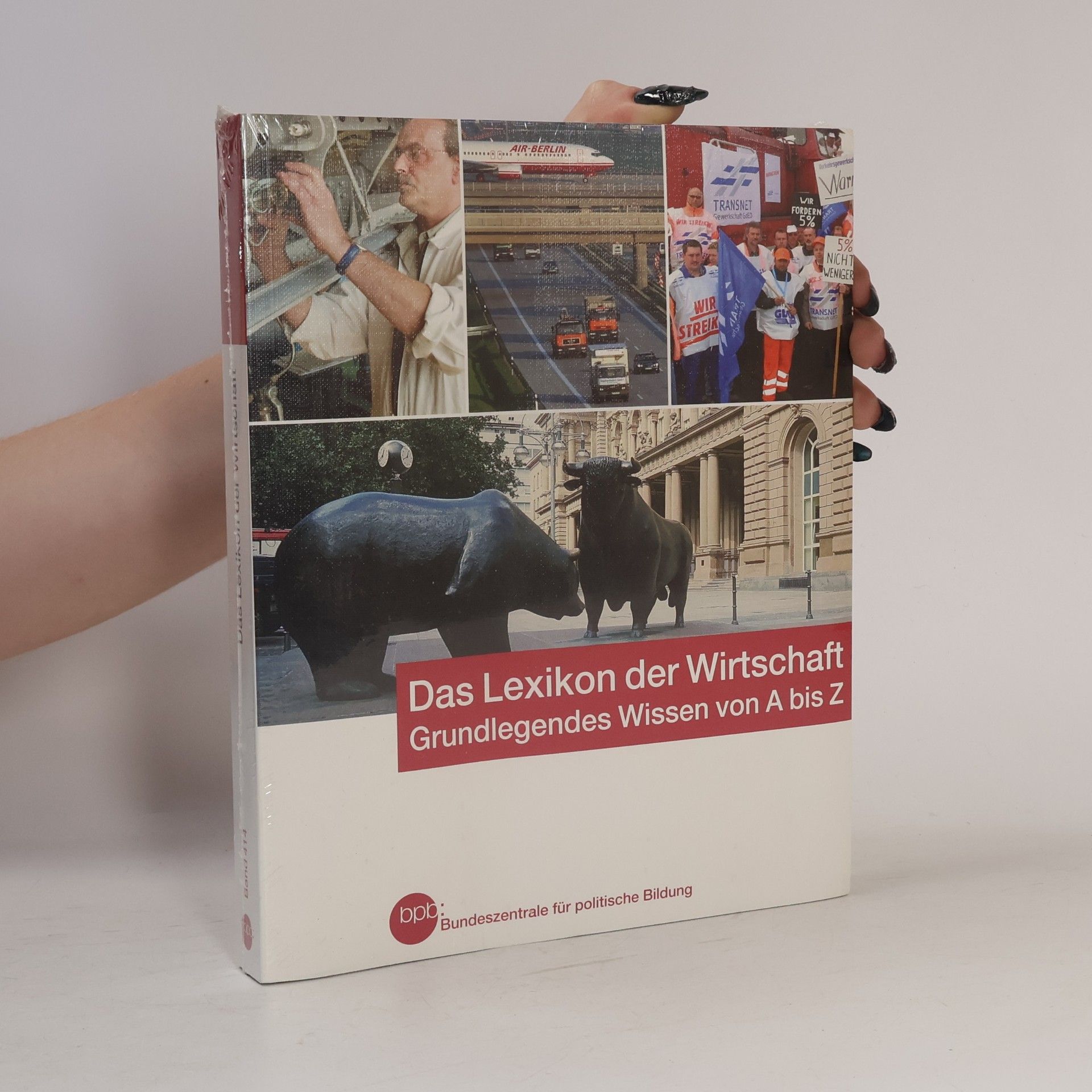 Achim Pollert Das Lexikon der Wirtschaft