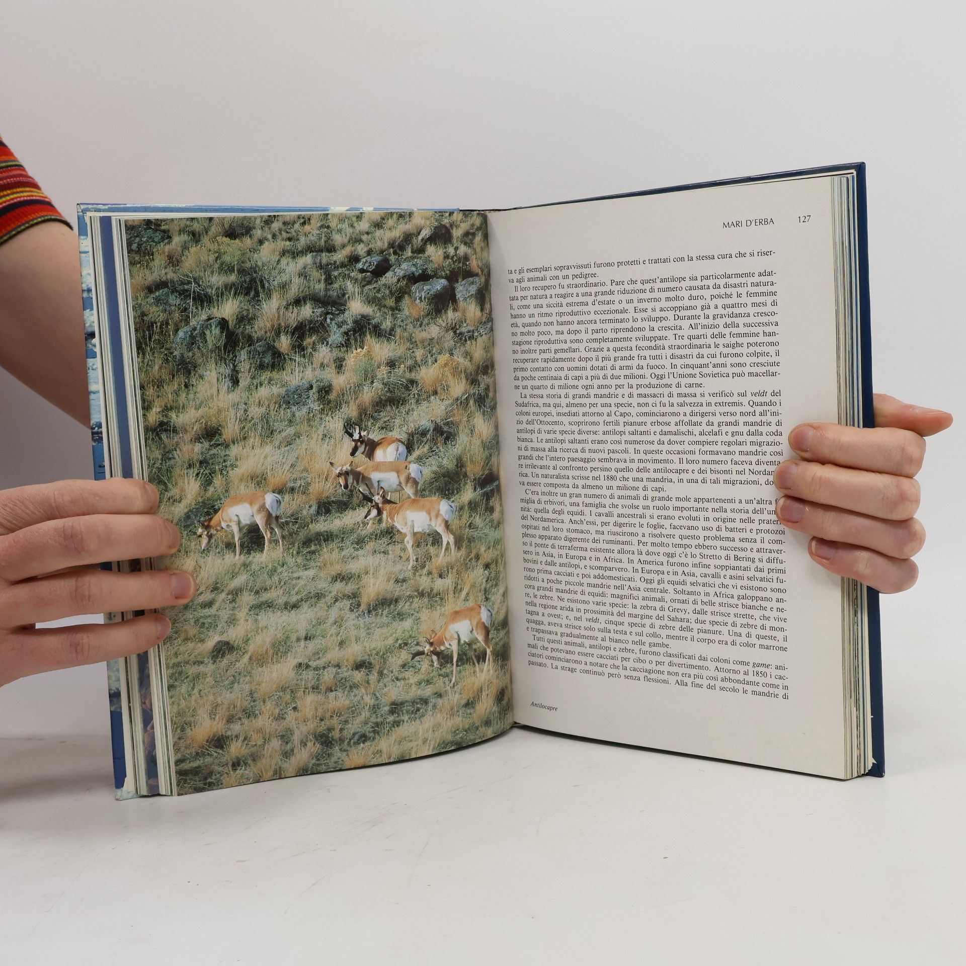 David Attenborough Il pianeta vivente