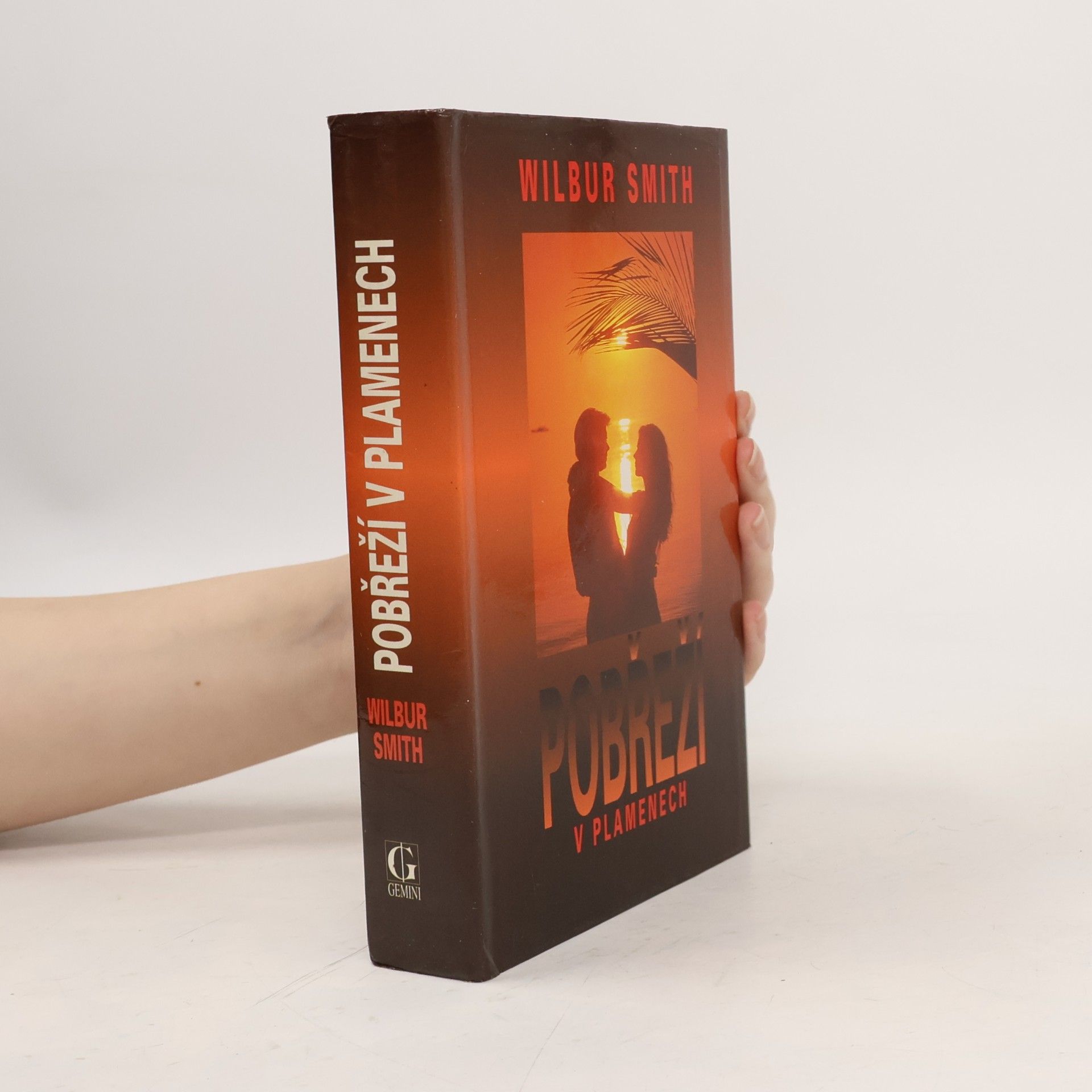 Wilbur Smith Pobřeží v plamenech