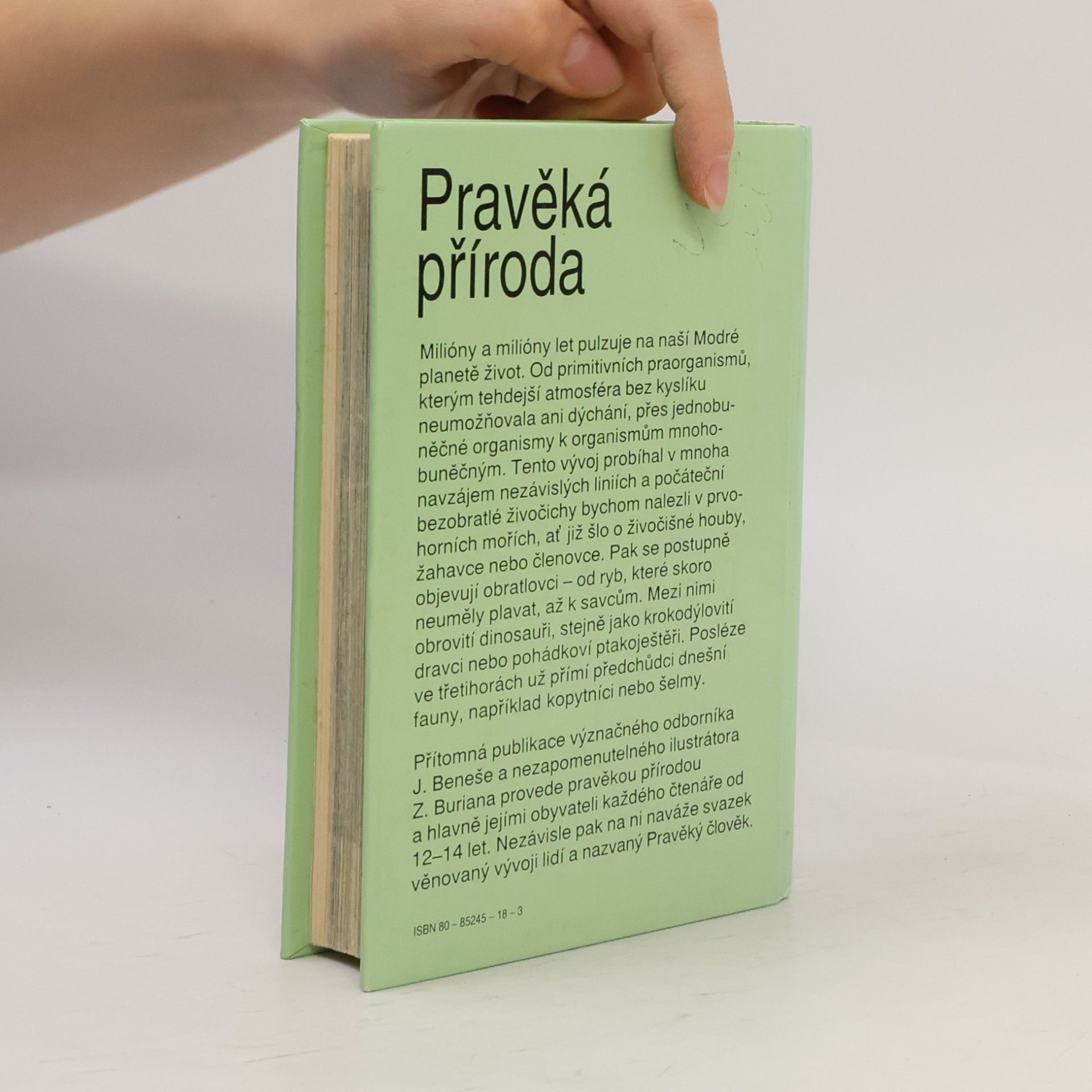 Josef Beneš Pravěká příroda
