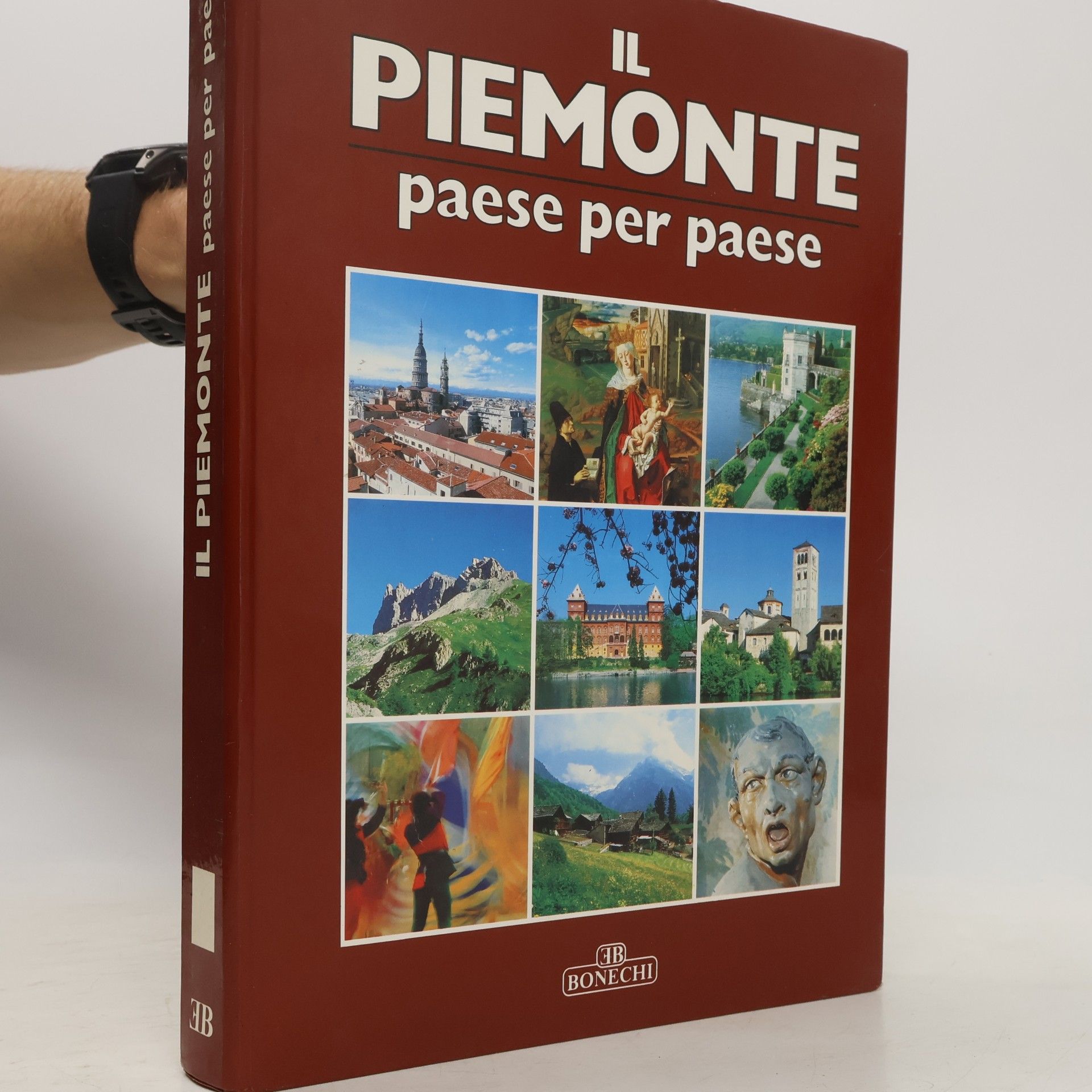 Italo Salvan Il Piemonte paese per paese