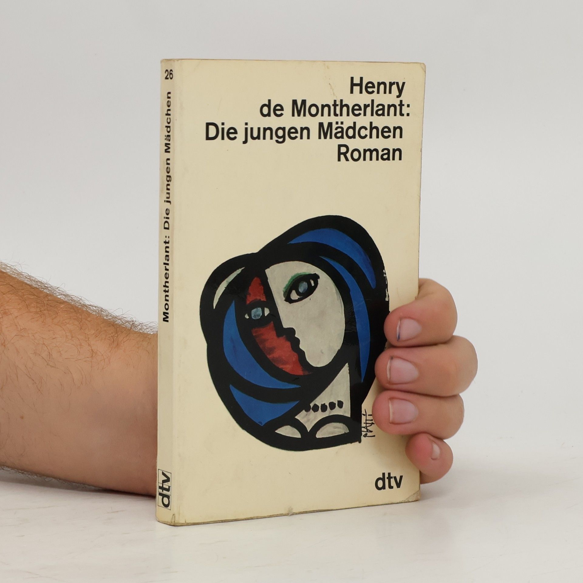 Die jungen Mädchen Roman
