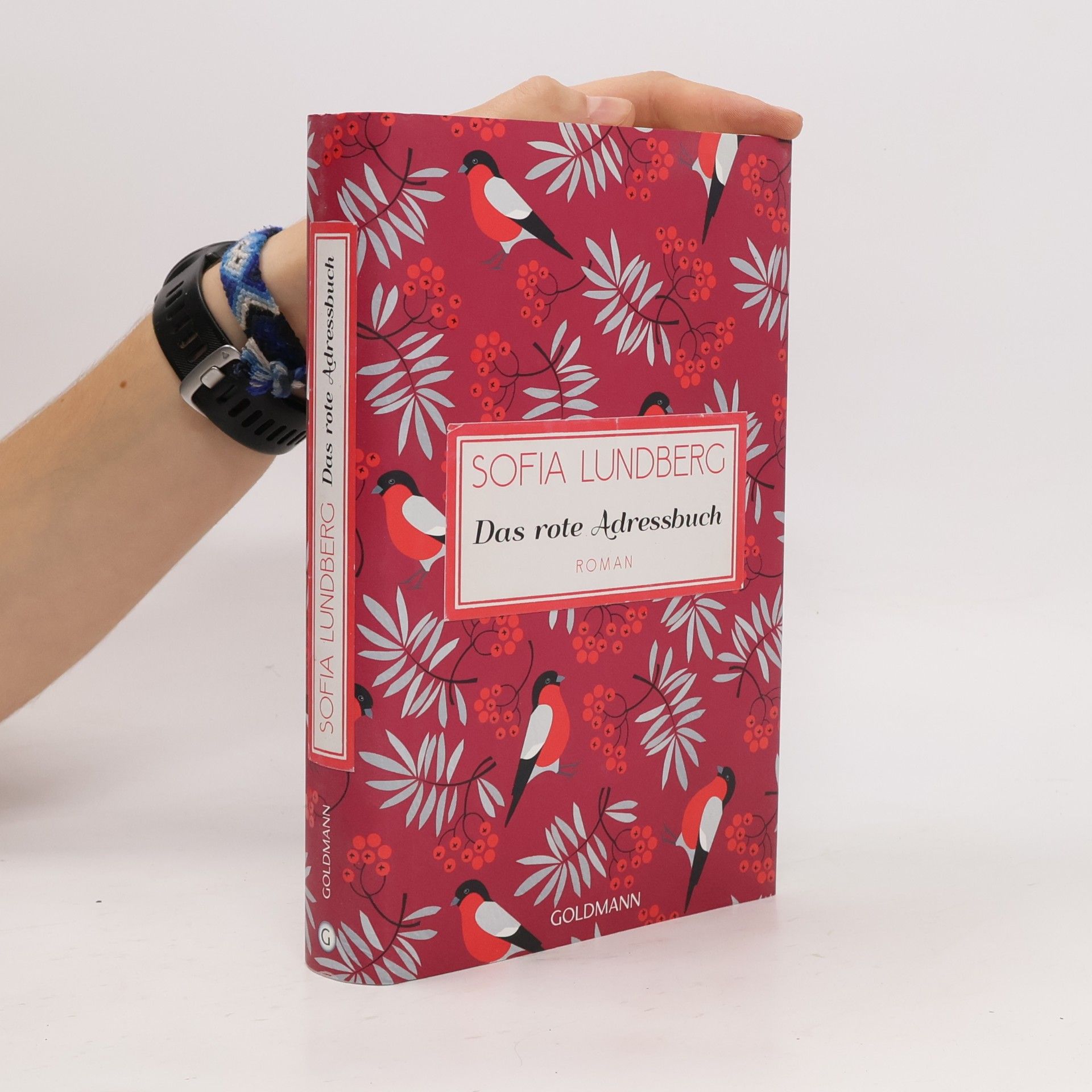 Sofia Lundberg Das rote Adressbuch